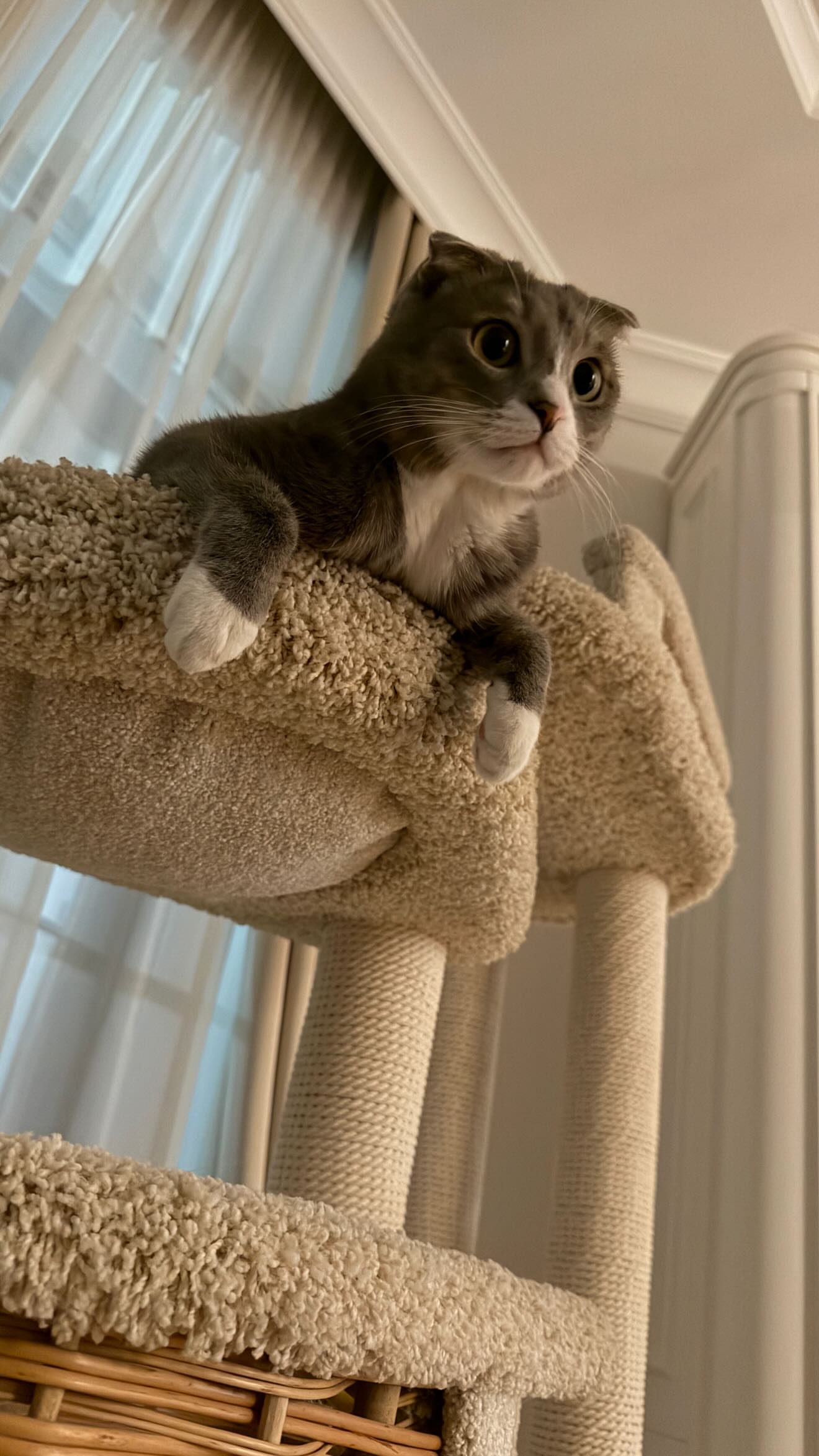 новая фото в сторис @borodylia 18.02.2026