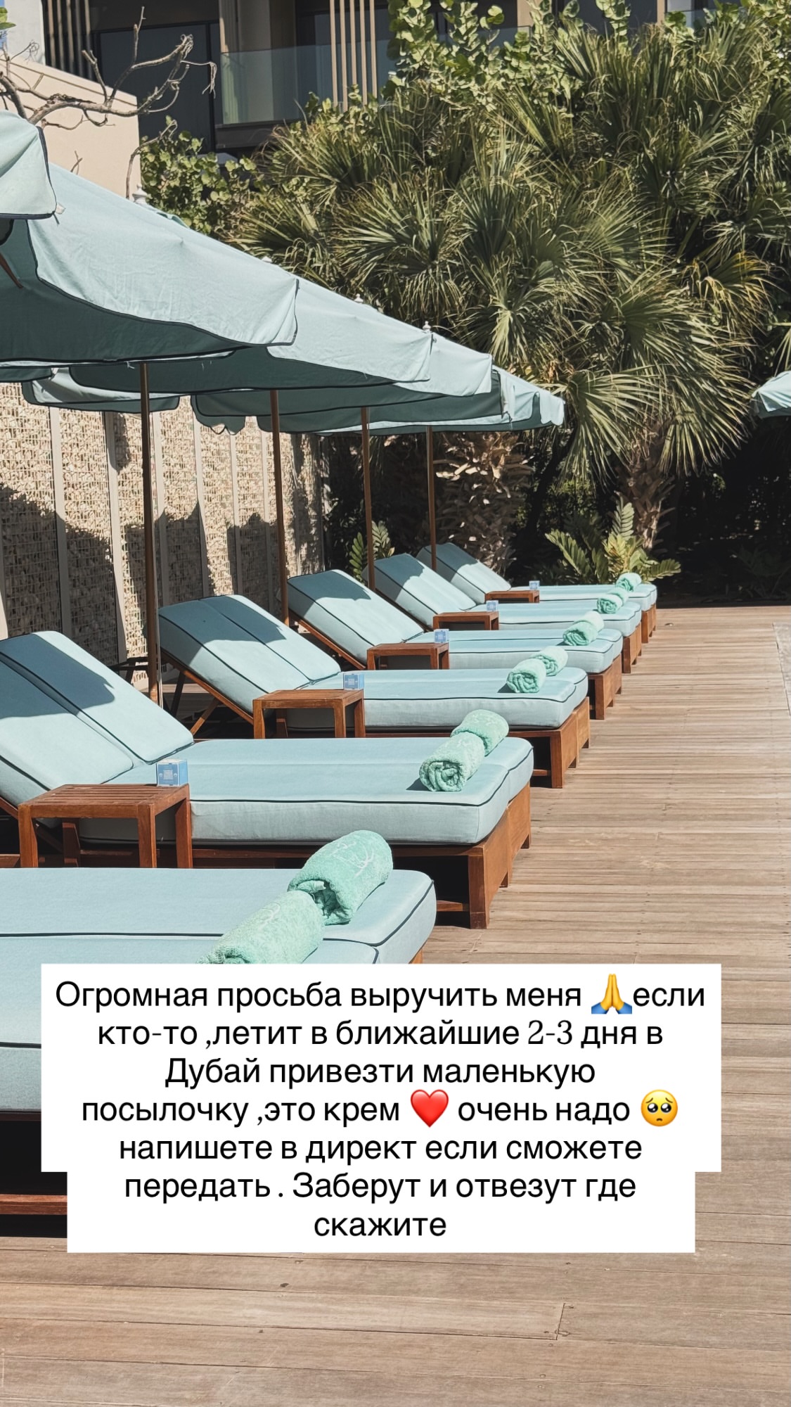 новая фото в сторис @elenabushina 19.02.2026