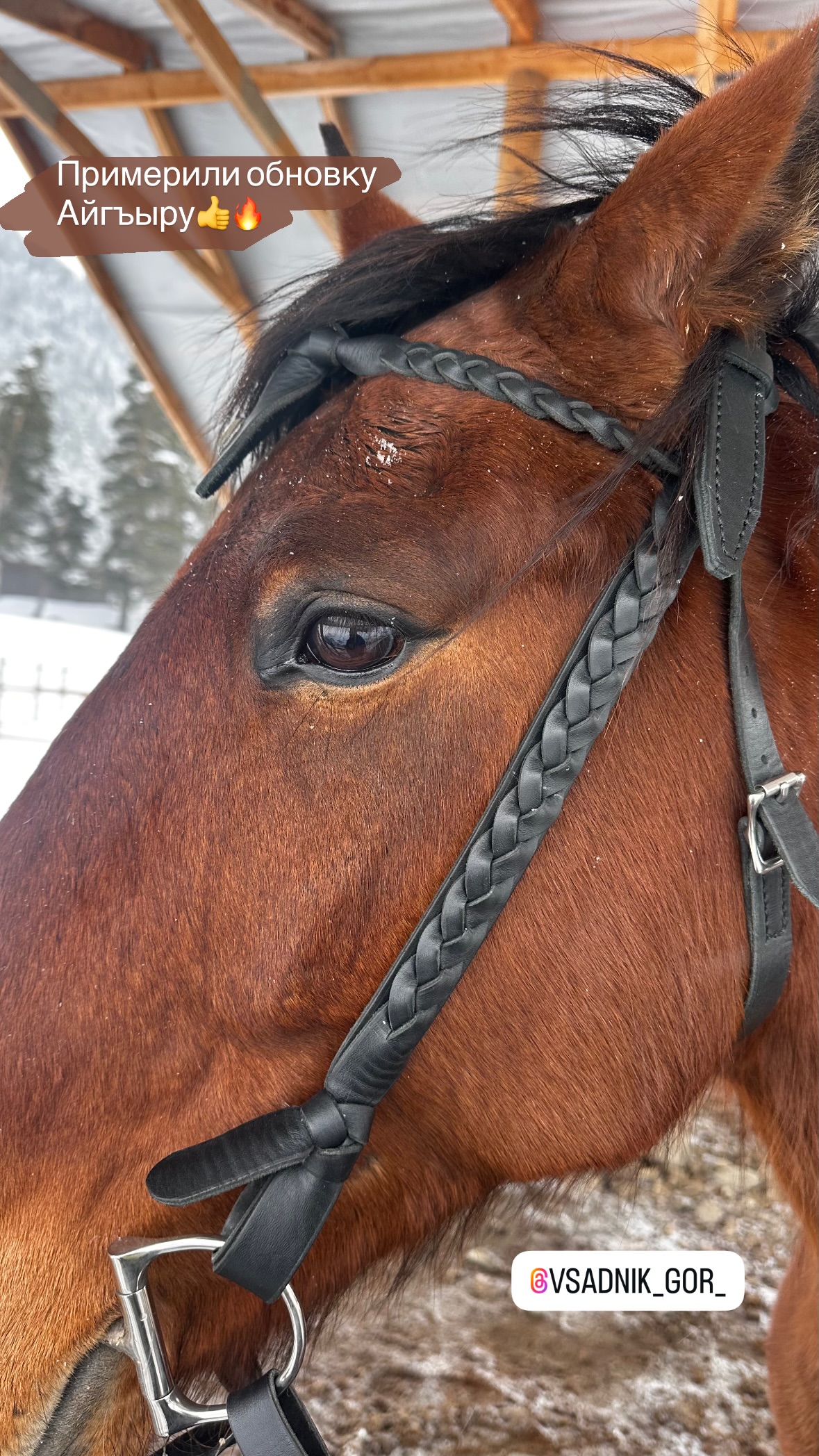 новая фото в сторис @svpogodina 20.02.2026