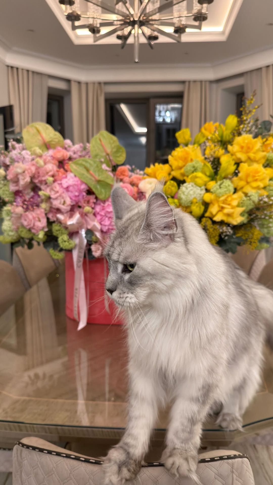 новая фото в сторис @borodylia 20.02.2026