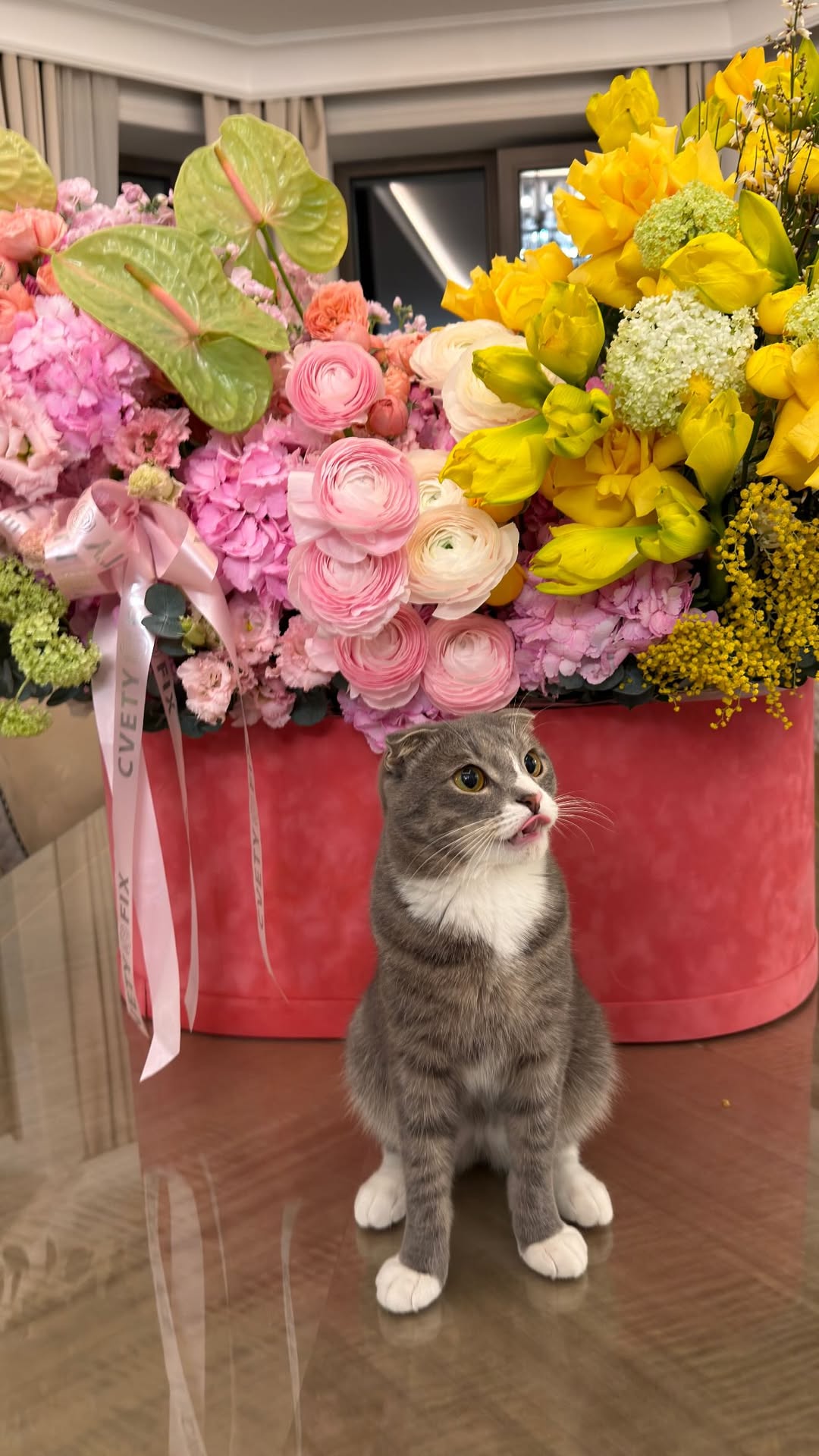 новая фото в сторис @borodylia 20.02.2026