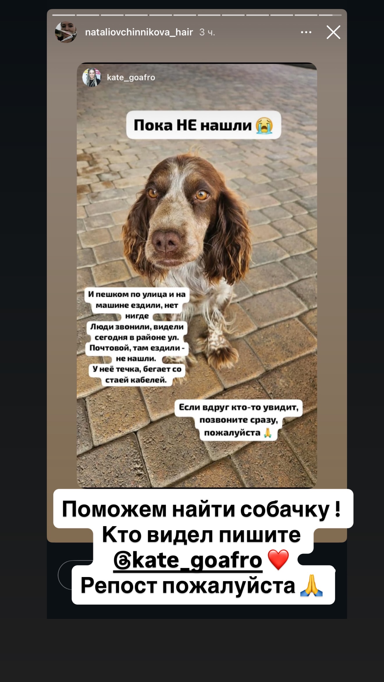 новая фото в сторис @rudenko_hairdresser 20.02.2026