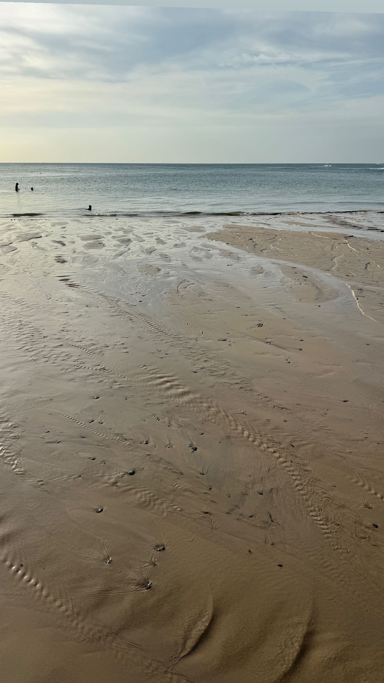 новая фото в сторис @neigraysognem 20.02.2026