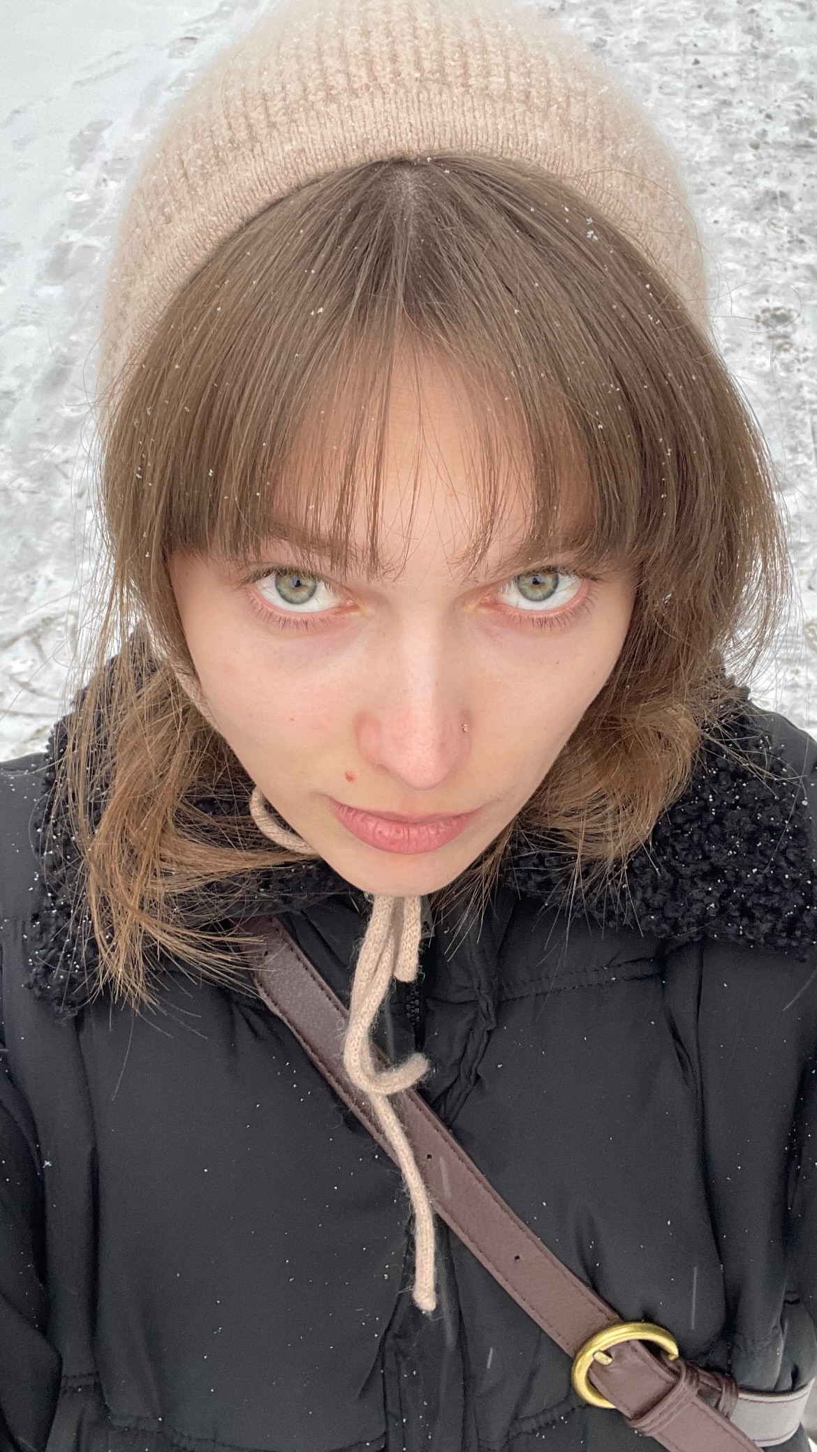 новая фото в сторис @lebed_n 20.02.2026