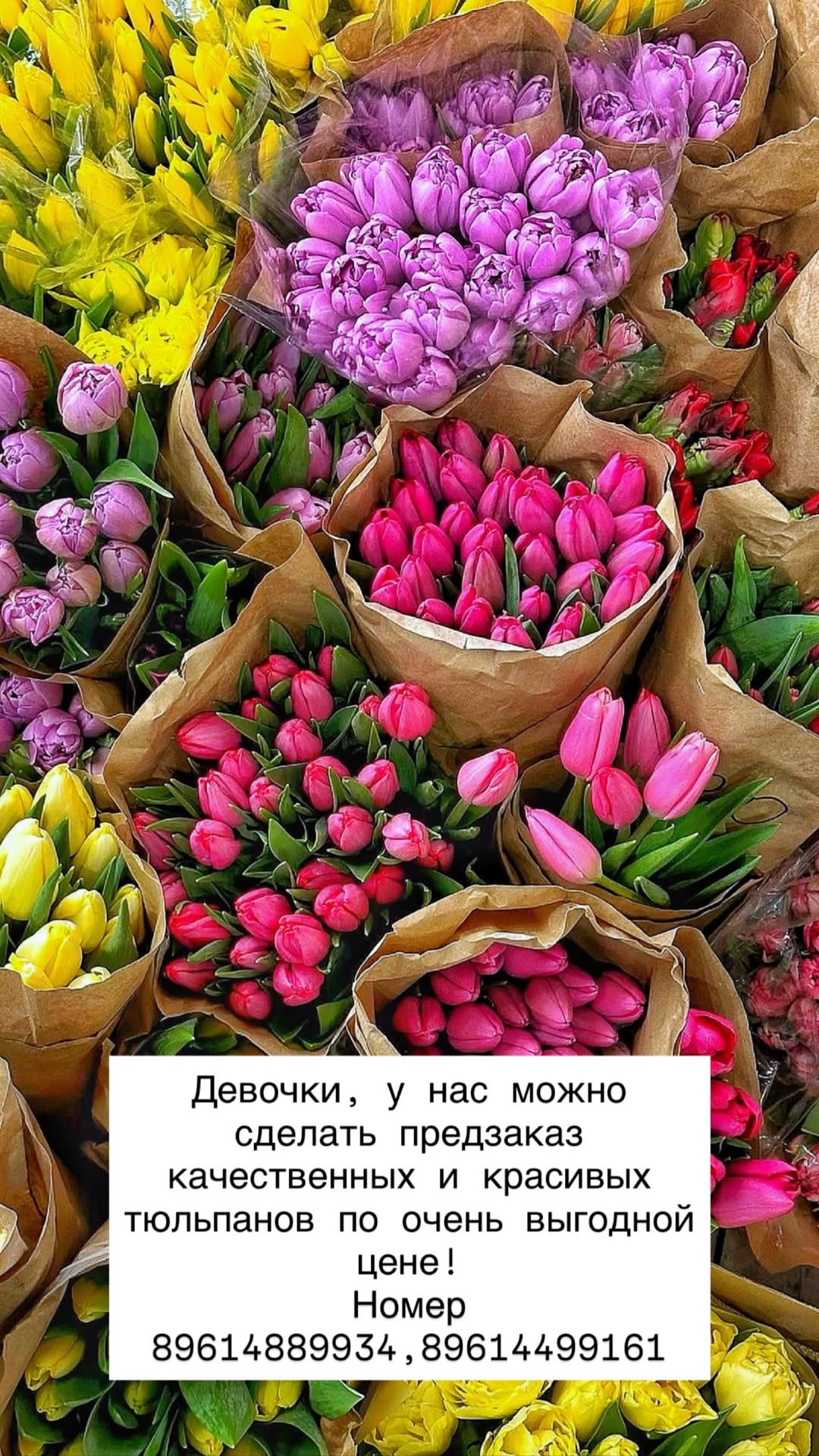 новая фото в сторис @lara_danelyan_stilist_ 20.02.2026