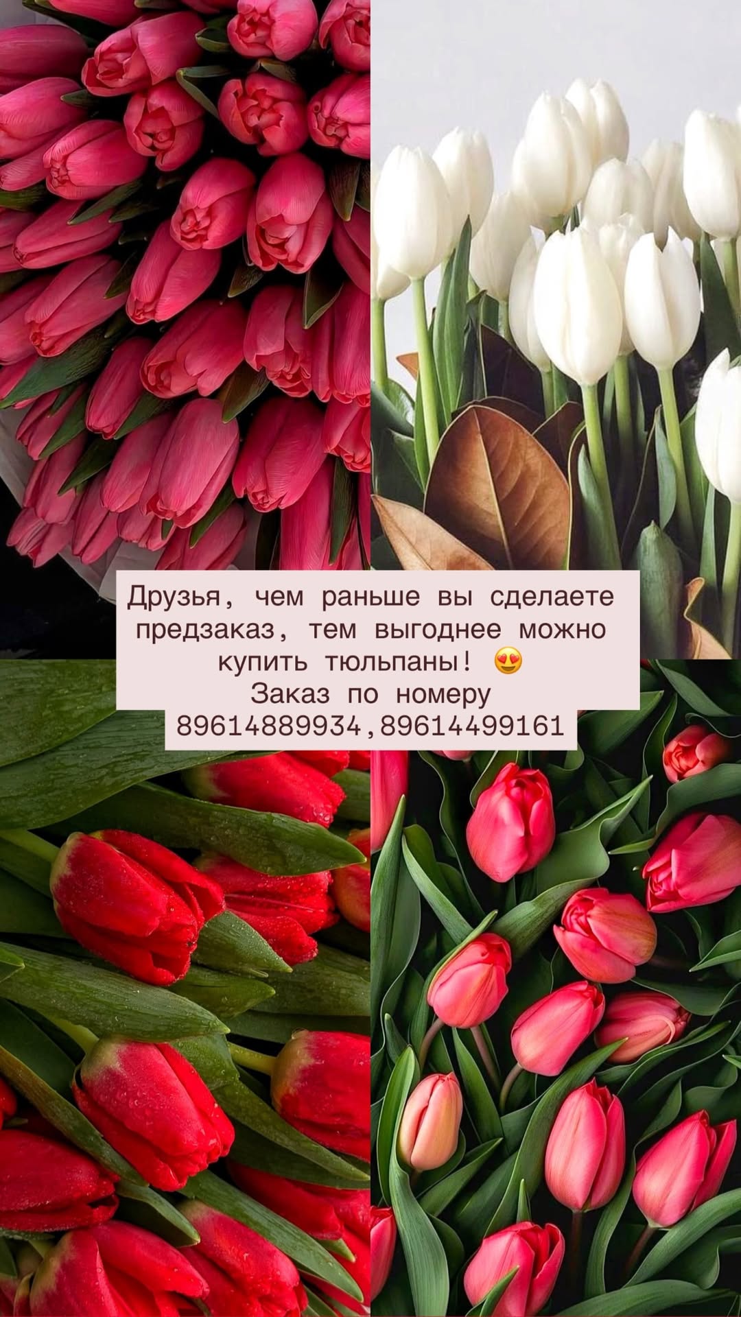 новая фото в сторис @lara_danelyan_stilist_ 20.02.2026