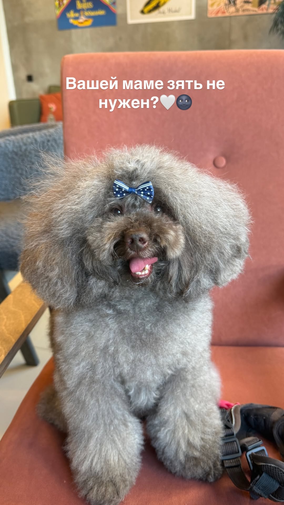 новая фото в сторис @oksa.igonina 20.02.2026