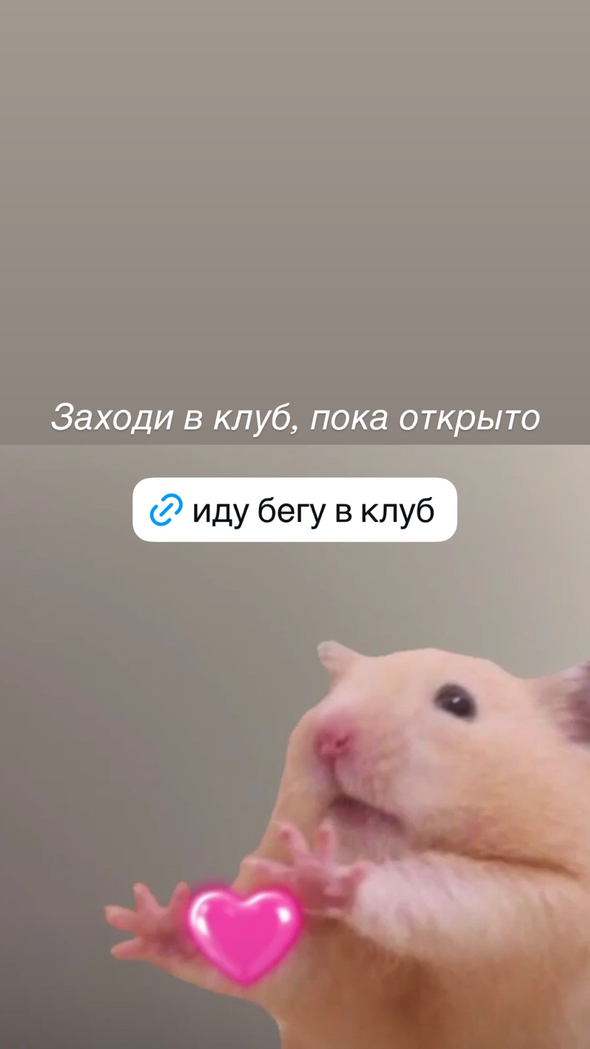 новая фото в сторис @elenkravchenko 21.02.2026