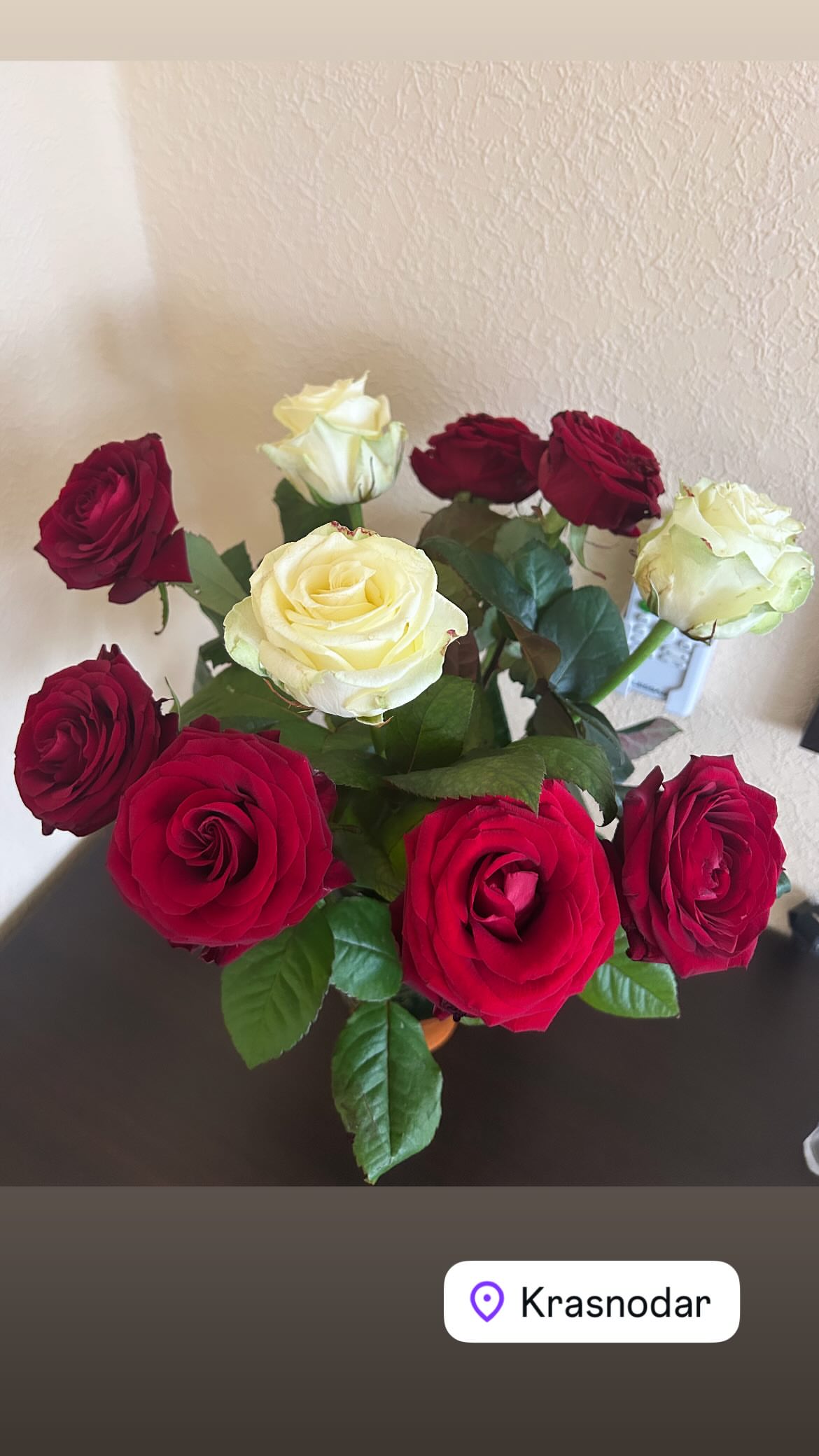 новая фото в сторис @marysya_kononova 22.02.2026