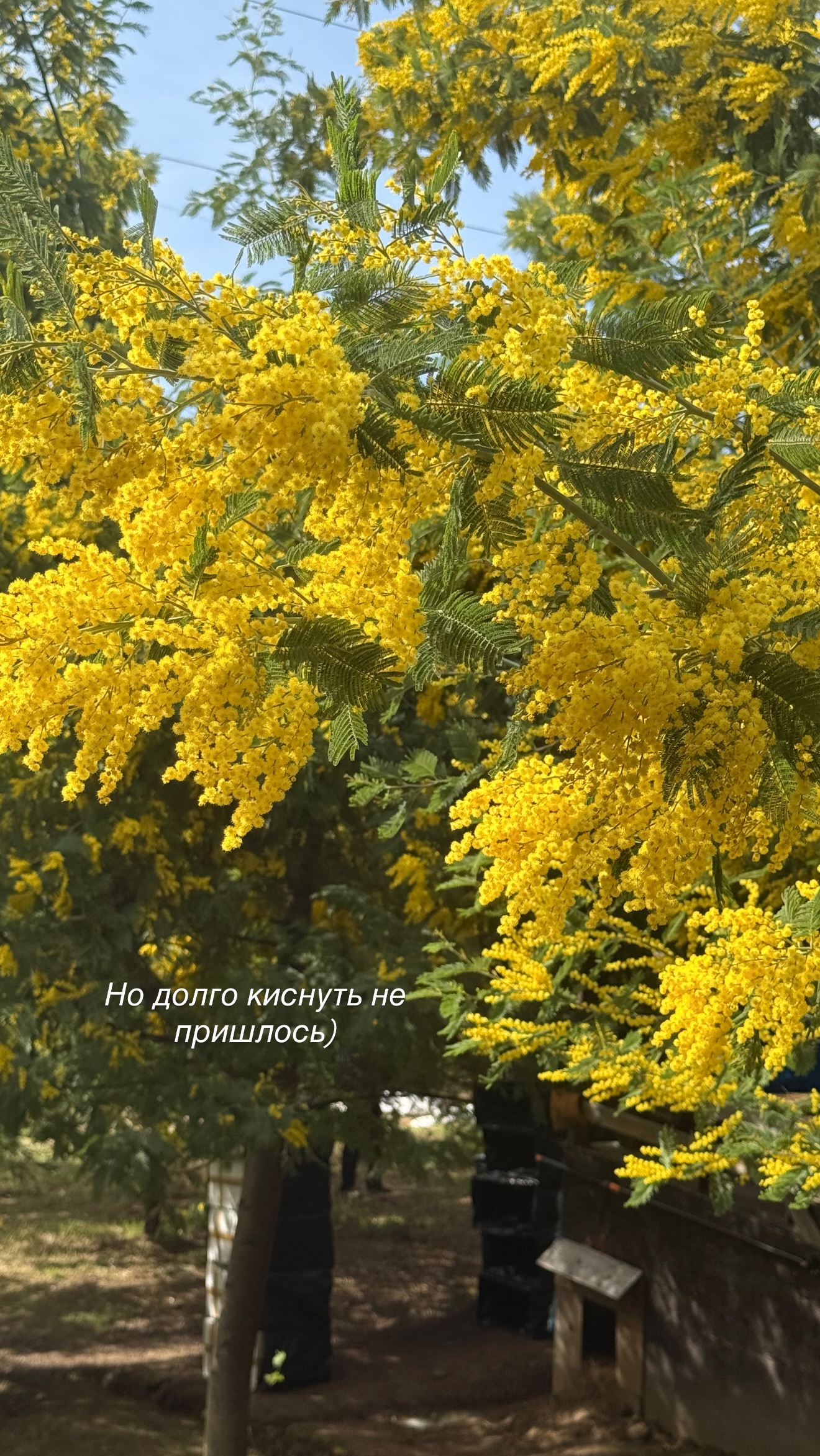 новая фото в сторис @lizaveta_shevtsova 22.02.2026