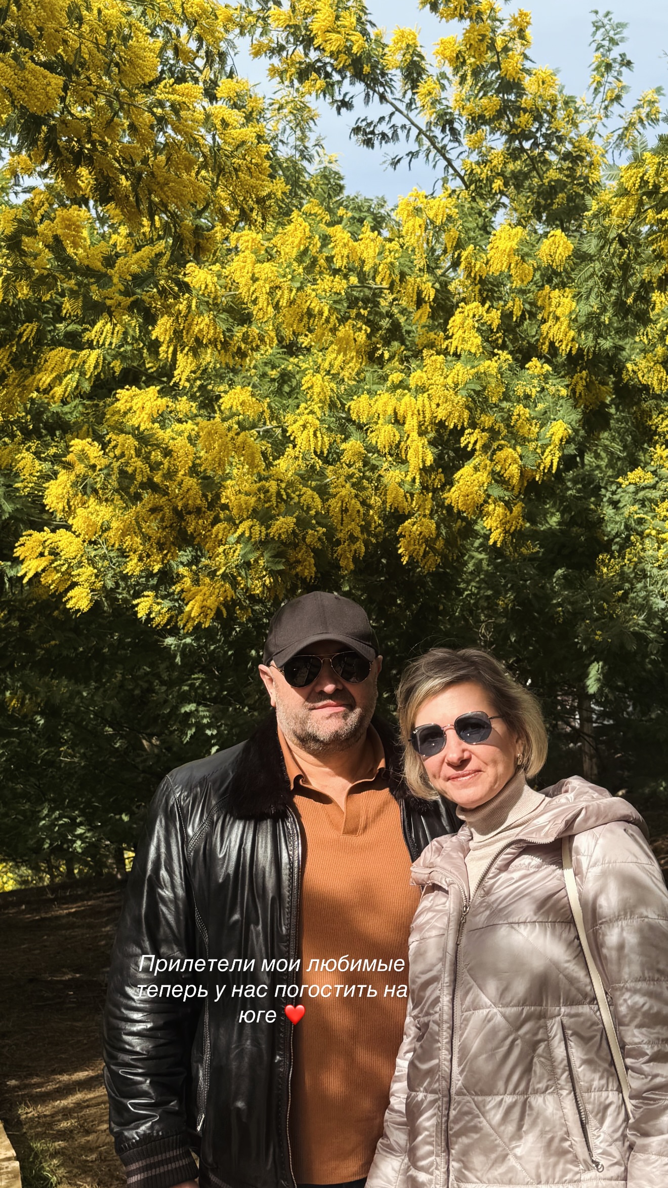 новая фото в сторис @lizaveta_shevtsova 22.02.2026