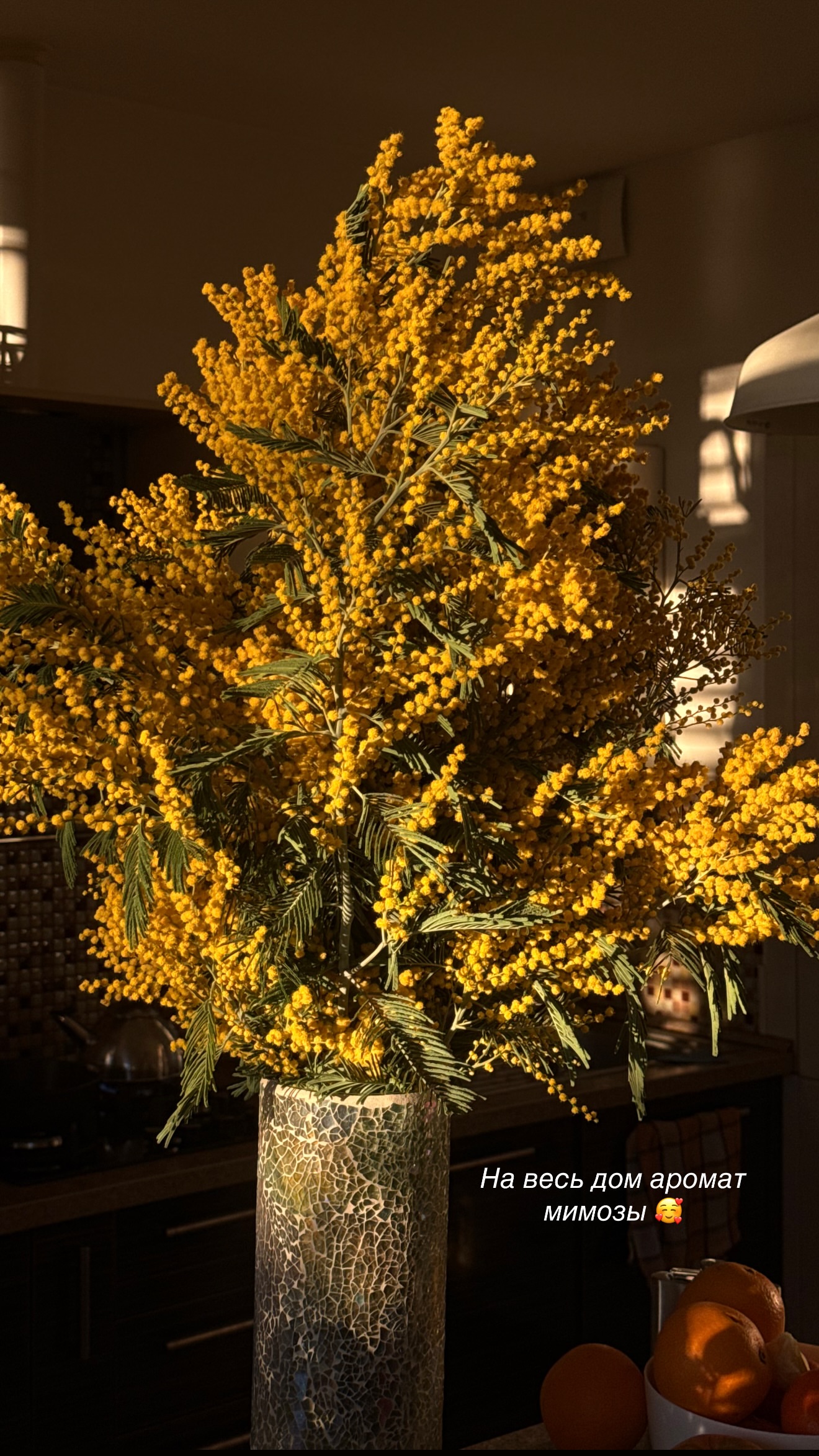 новая фото в сторис @lizaveta_shevtsova 22.02.2026