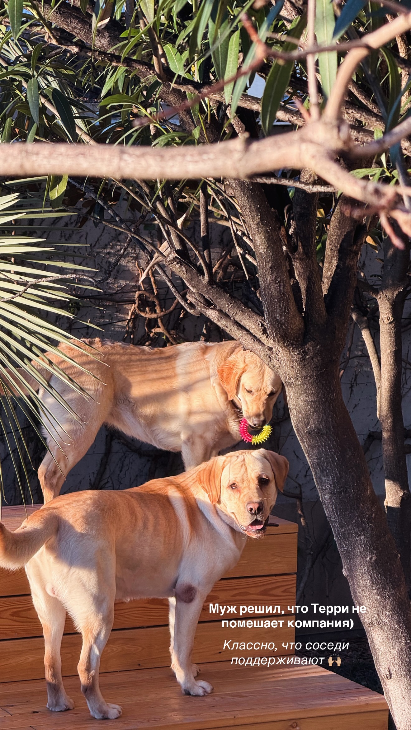 новая фото в сторис @lizaveta_shevtsova 22.02.2026
