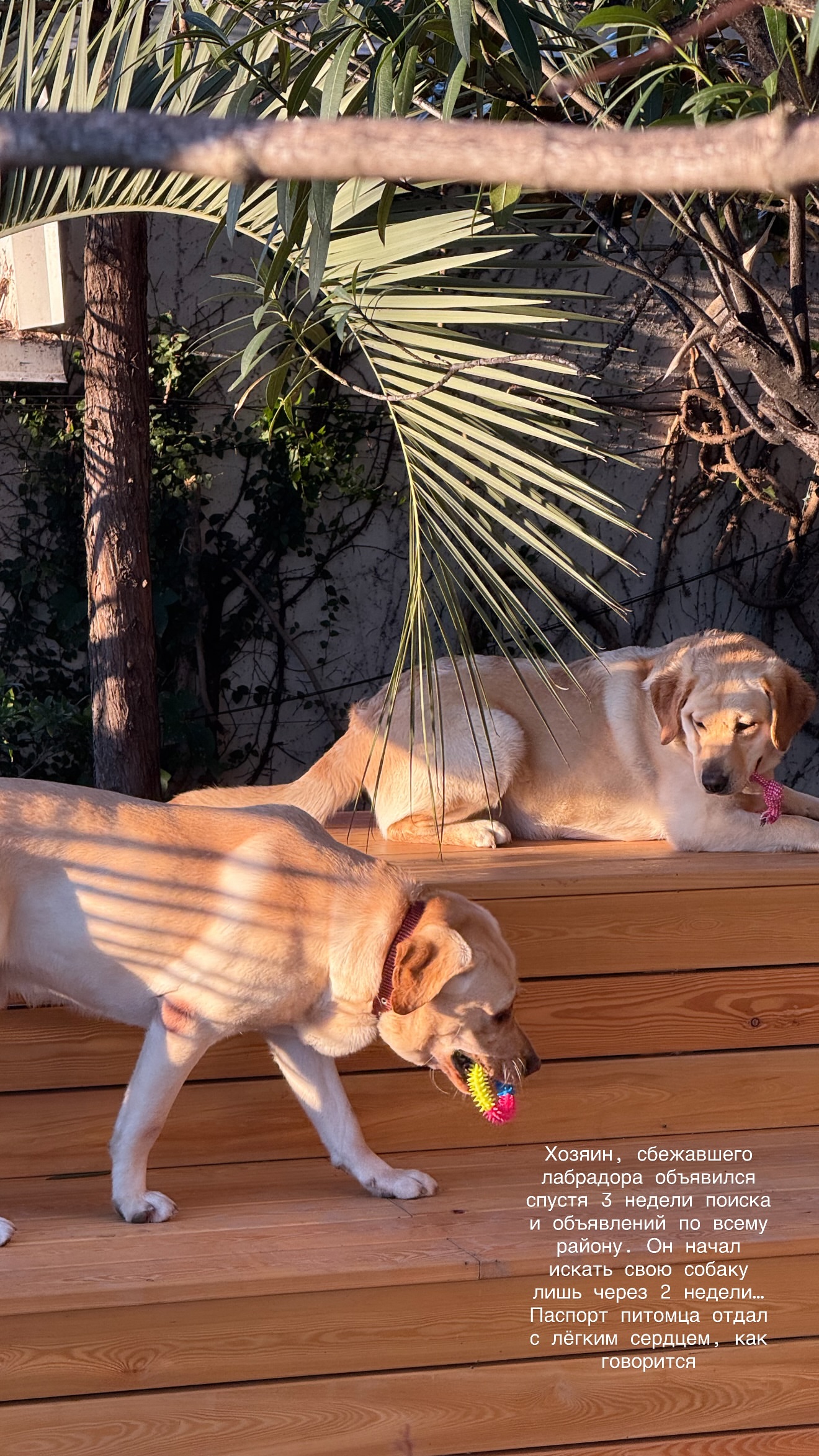 новая фото в сторис @lizaveta_shevtsova 22.02.2026