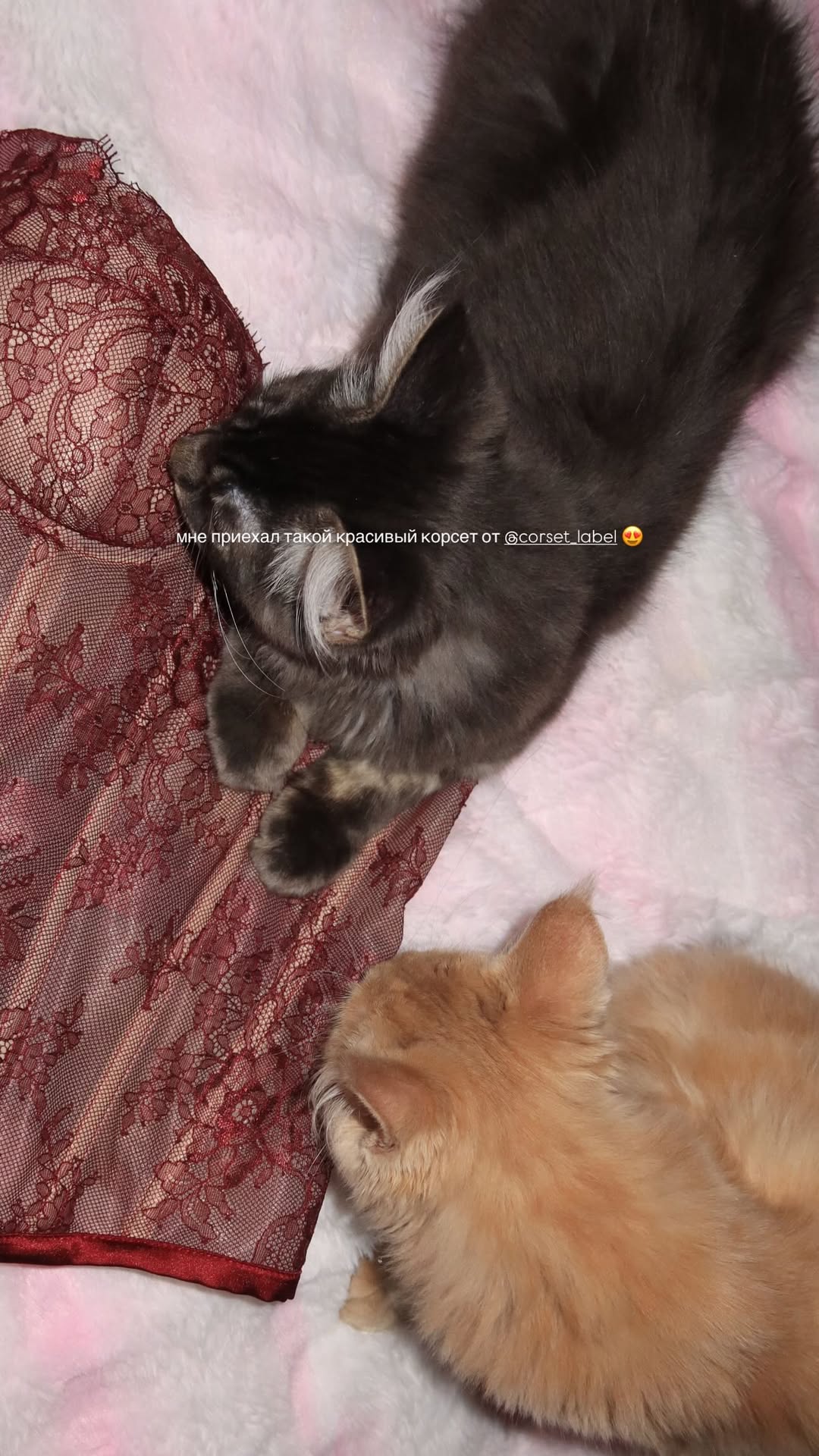 новая фото в сторис @osookinaa 22.02.2026