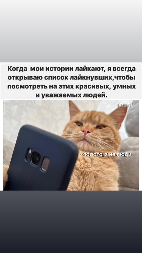 новая фото в сторис @keratinsergey 22.02.2026