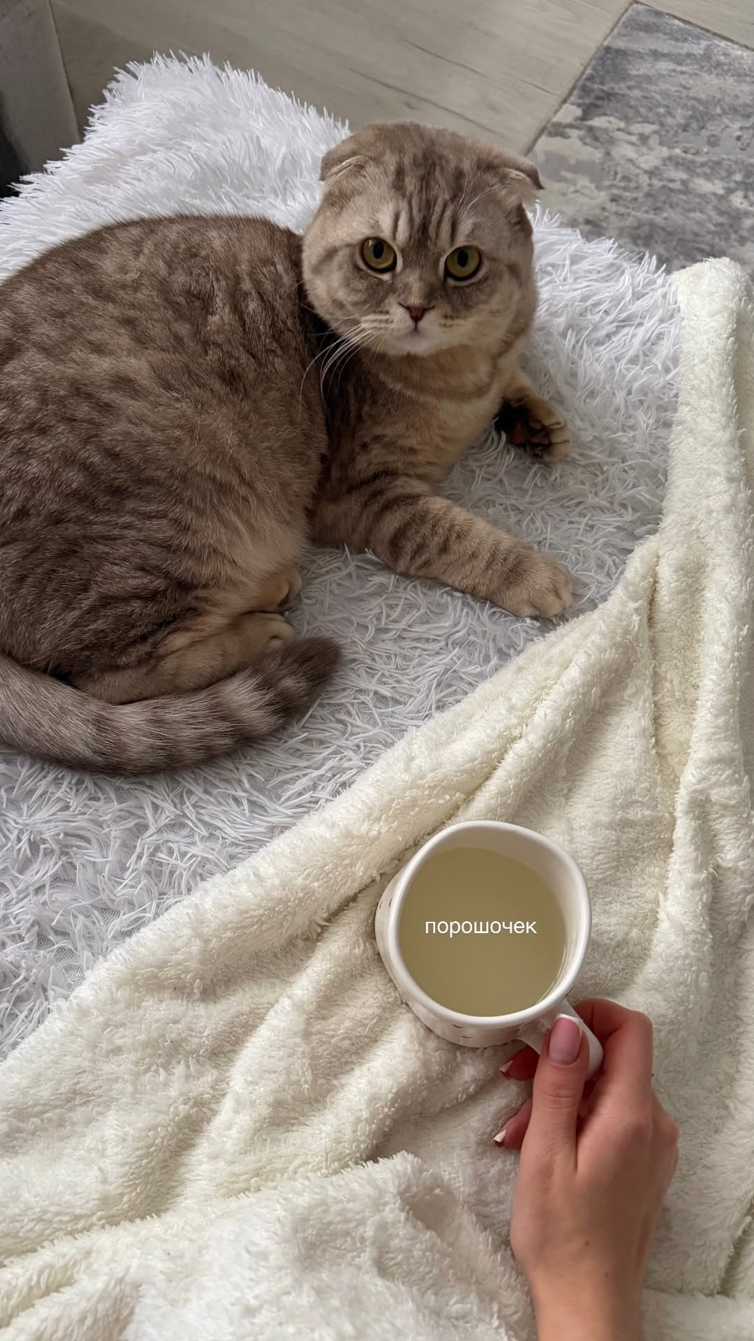 новая фото в сторис @leraa_telesh 22.02.2026