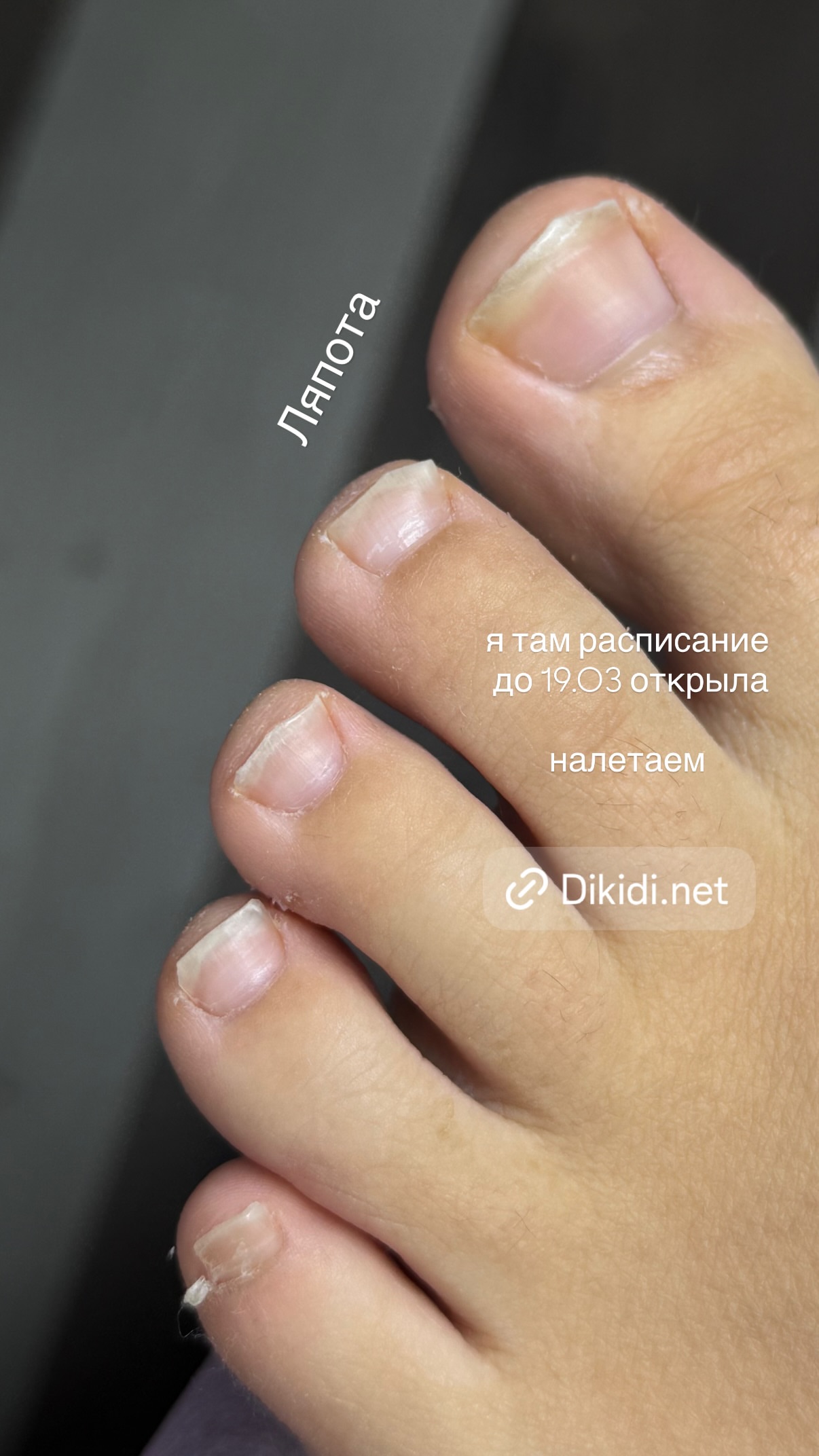 новая фото в сторис @kris.moskaleva 23.02.2026