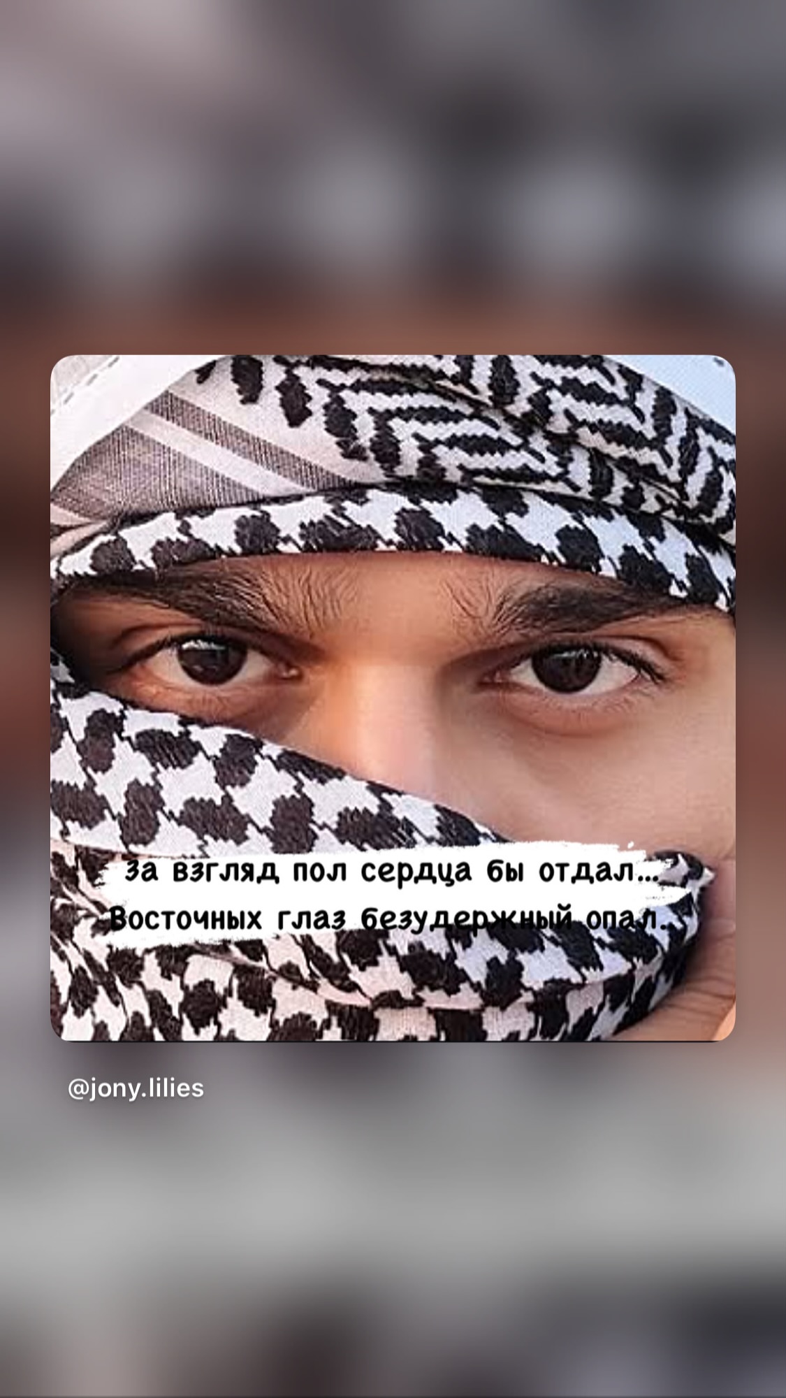 новая фото в сторис @jony.lilies 22.02.2026