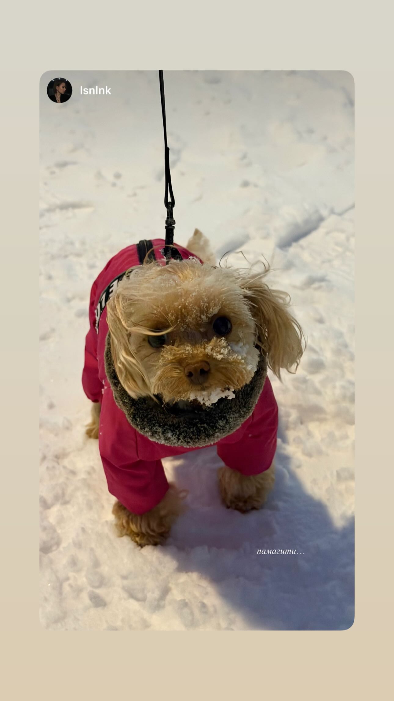 новая фото в сторис @tosja.bosja 22.02.2026