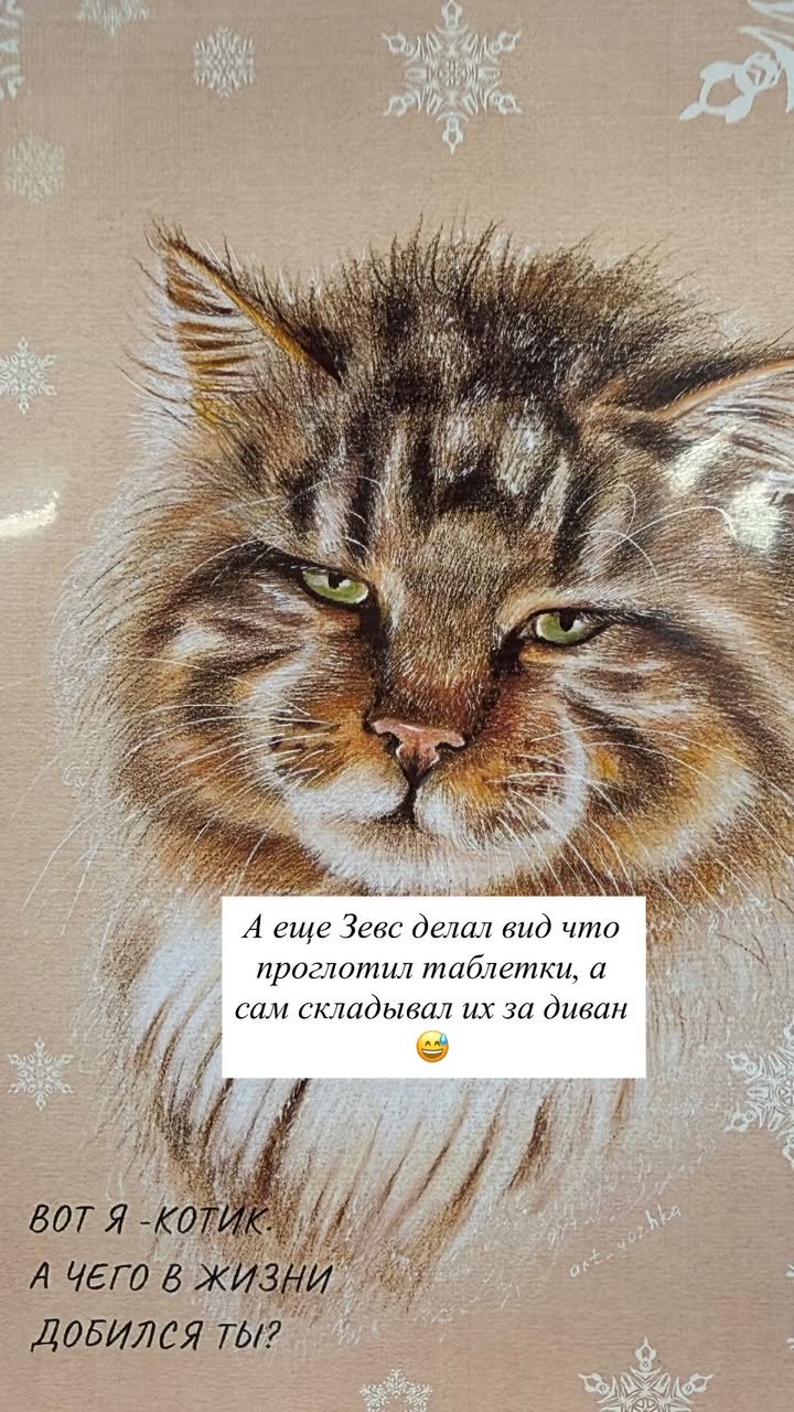 новая фото в сторис @kovalevahair 23.02.2026