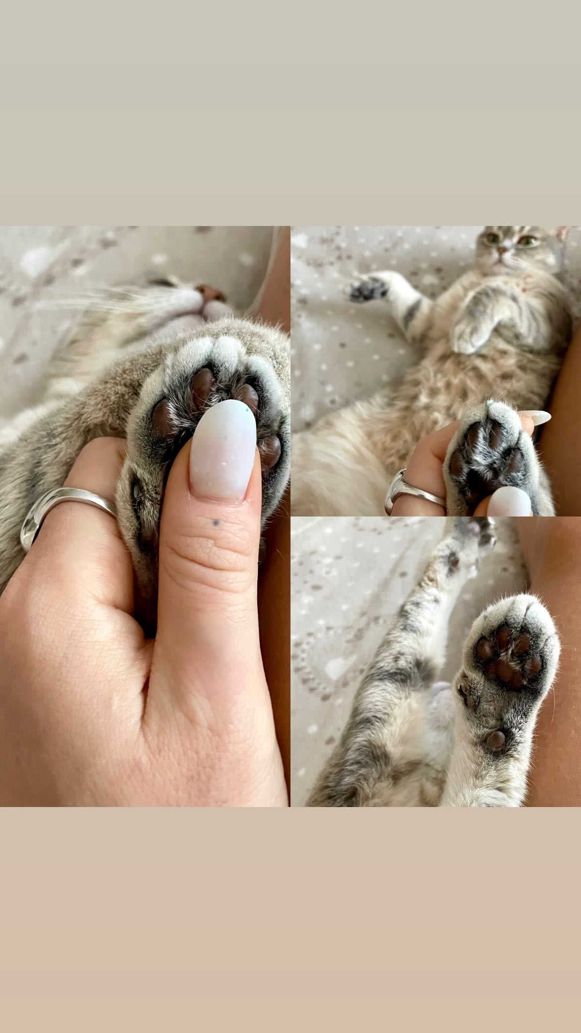 новая фото в сторис @lerabog96 24.02.2026