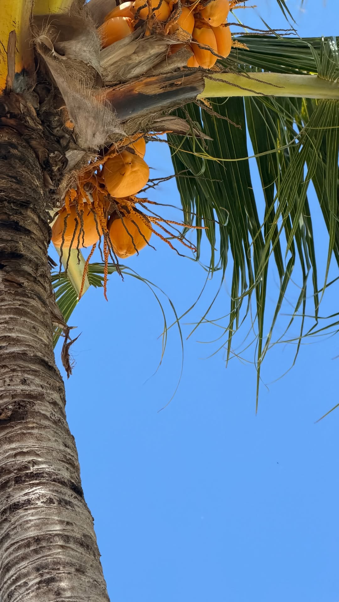 новая фото в сторис @stasyalyalya 24.02.2026