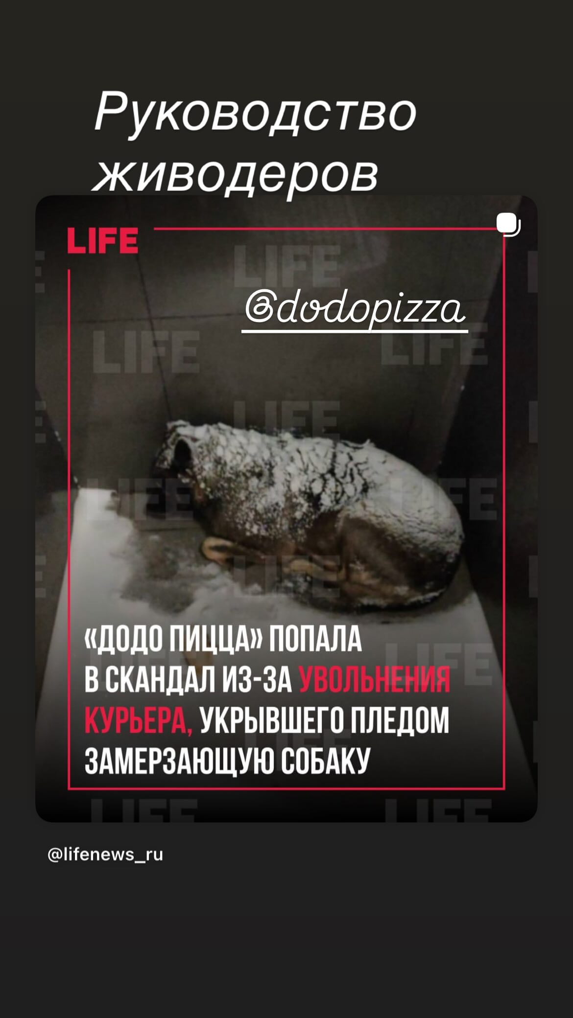 новая фото в сторис @mariezari 23.02.2026