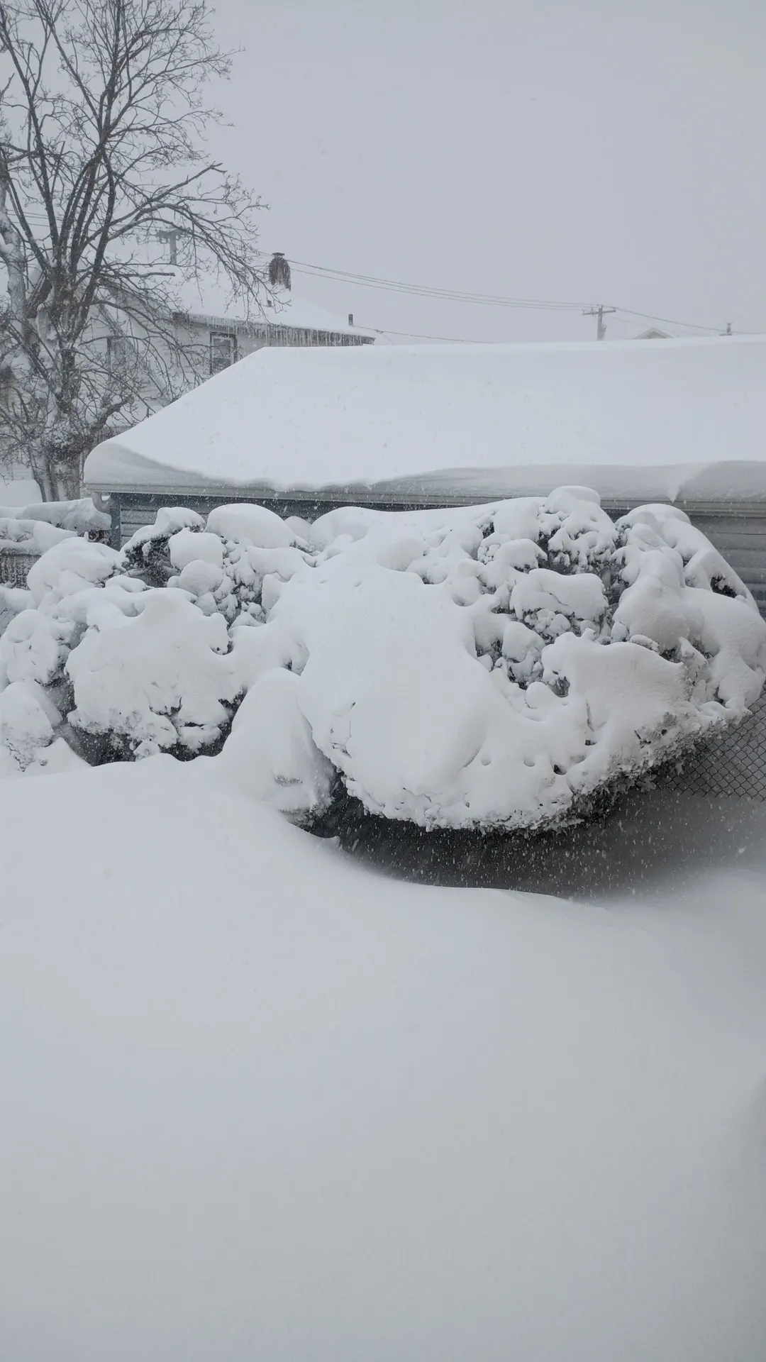 новая фото в сторис @vanya_vasiliev 24.02.2026