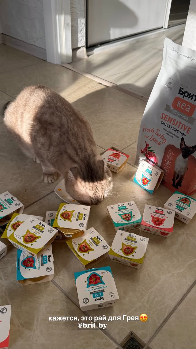 новая фото в сторис @leraa_telesh 23.02.2026