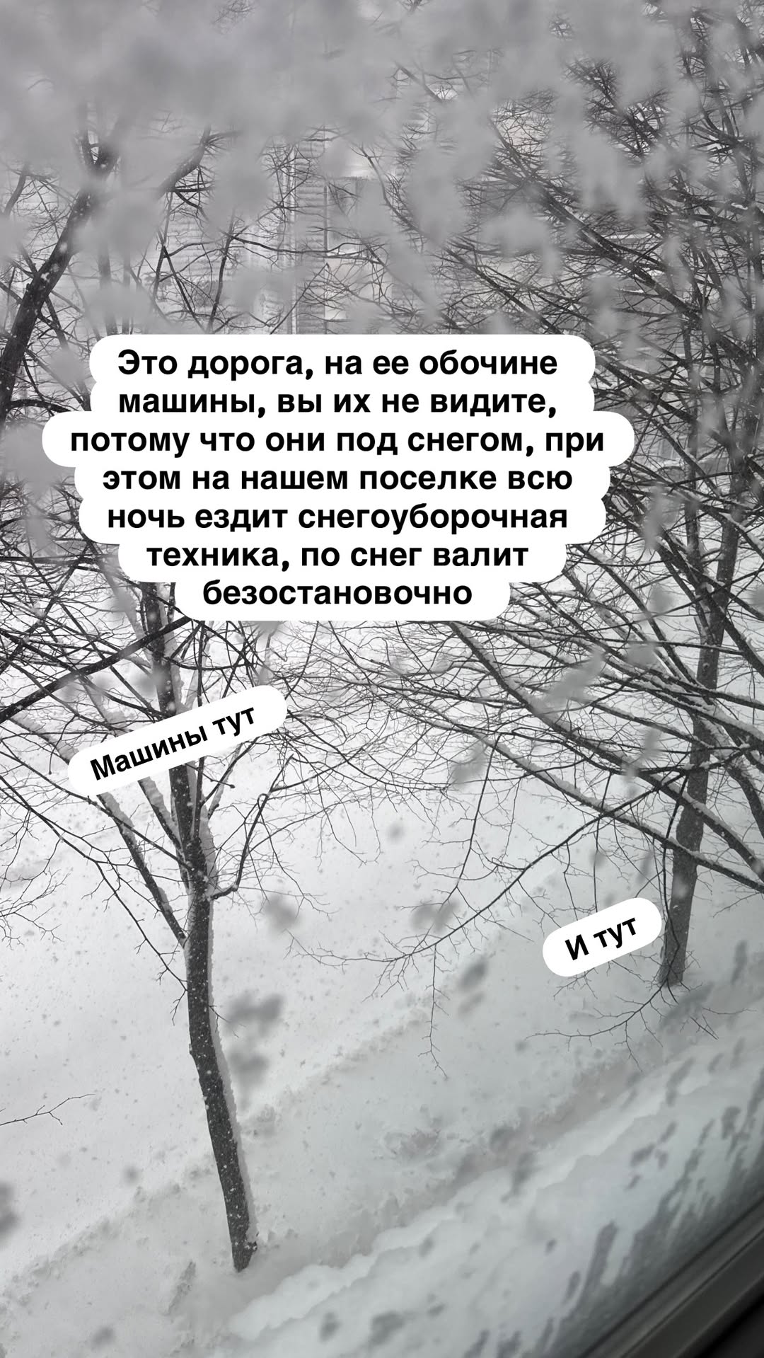 новая фото в сторис @mariyasolodar 23.02.2026