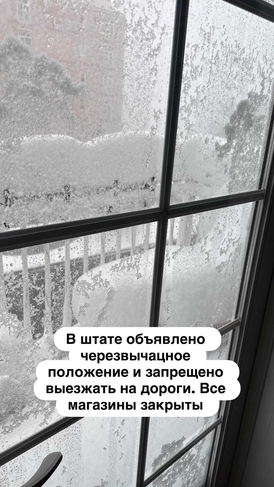 новая фото в сторис @mariyasolodar 23.02.2026