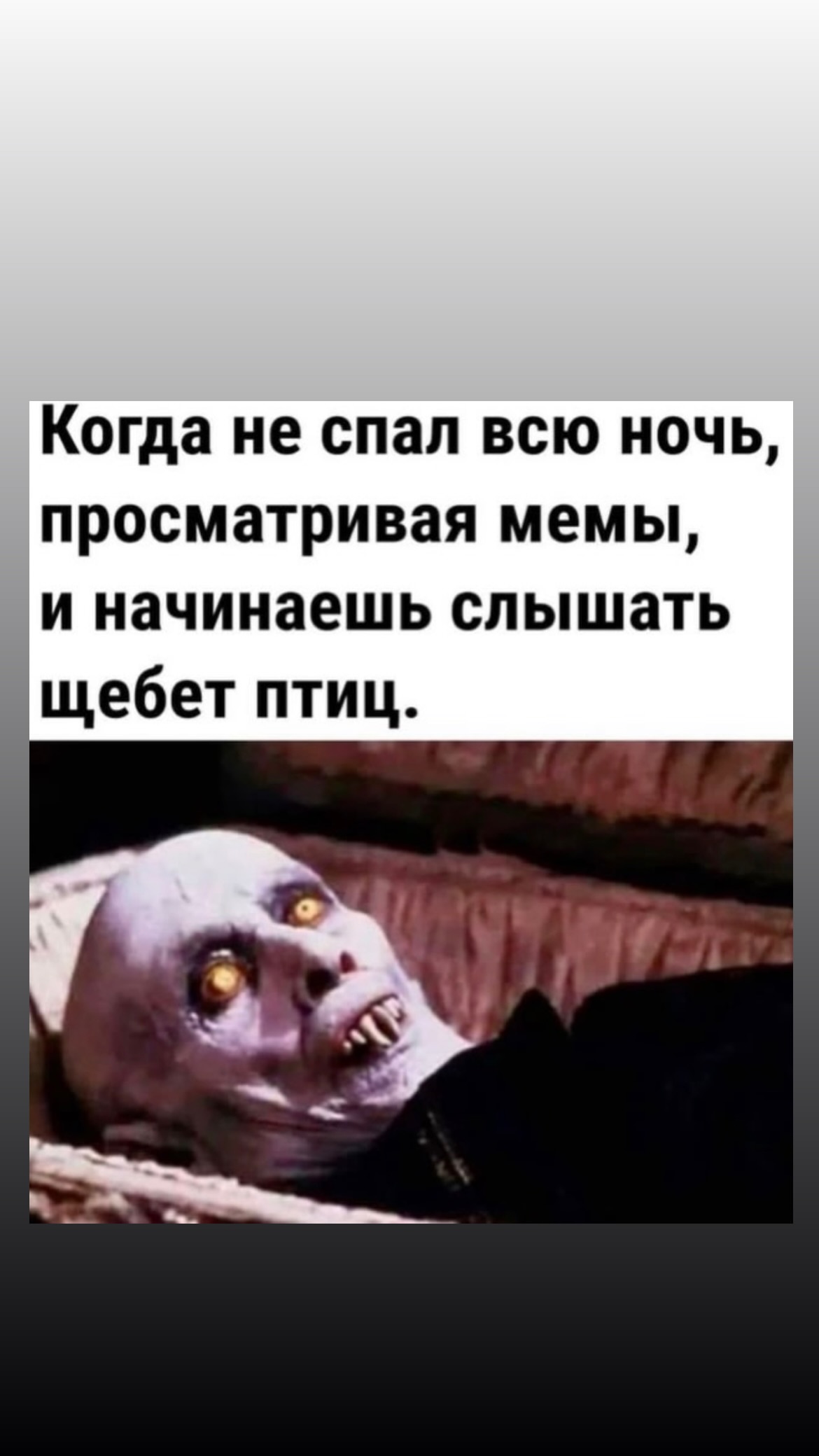 новая фото в сторис @keratinsergey 24.02.2026