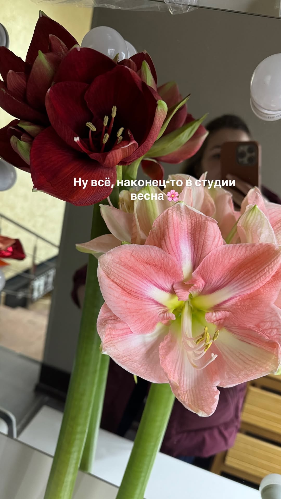 новая фото в сторис @daria_kars_photo 24.02.2026