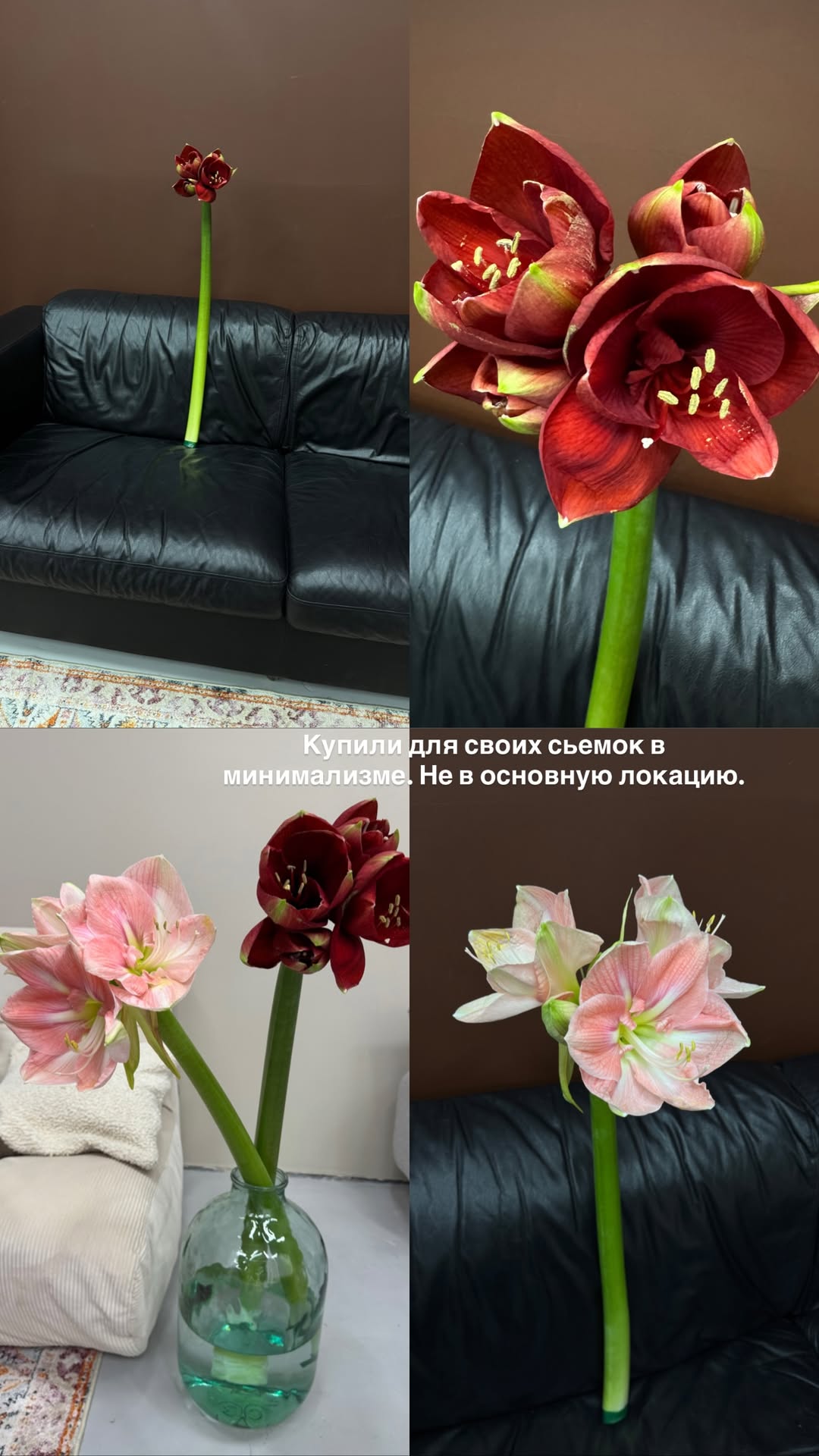 новая фото в сторис @daria_kars_photo 24.02.2026