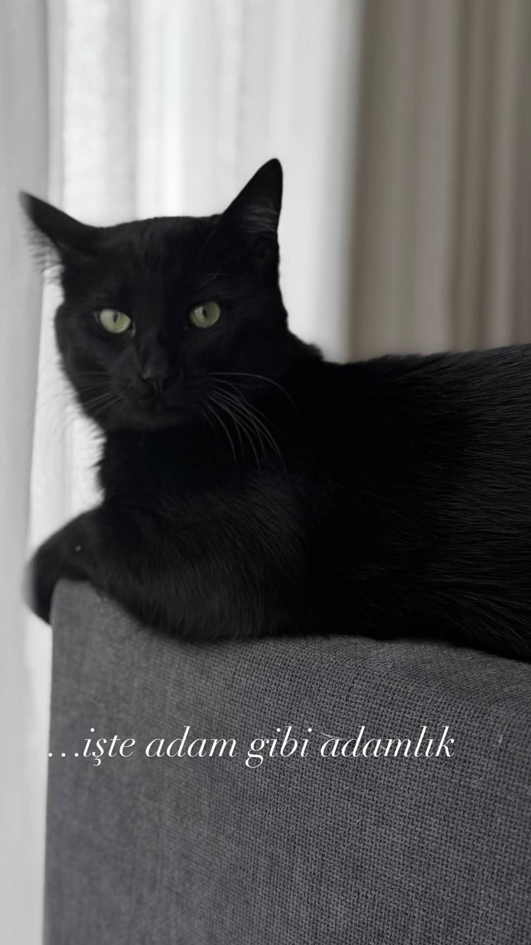 новая фото в сторис @13_ist_tr 25.02.2026