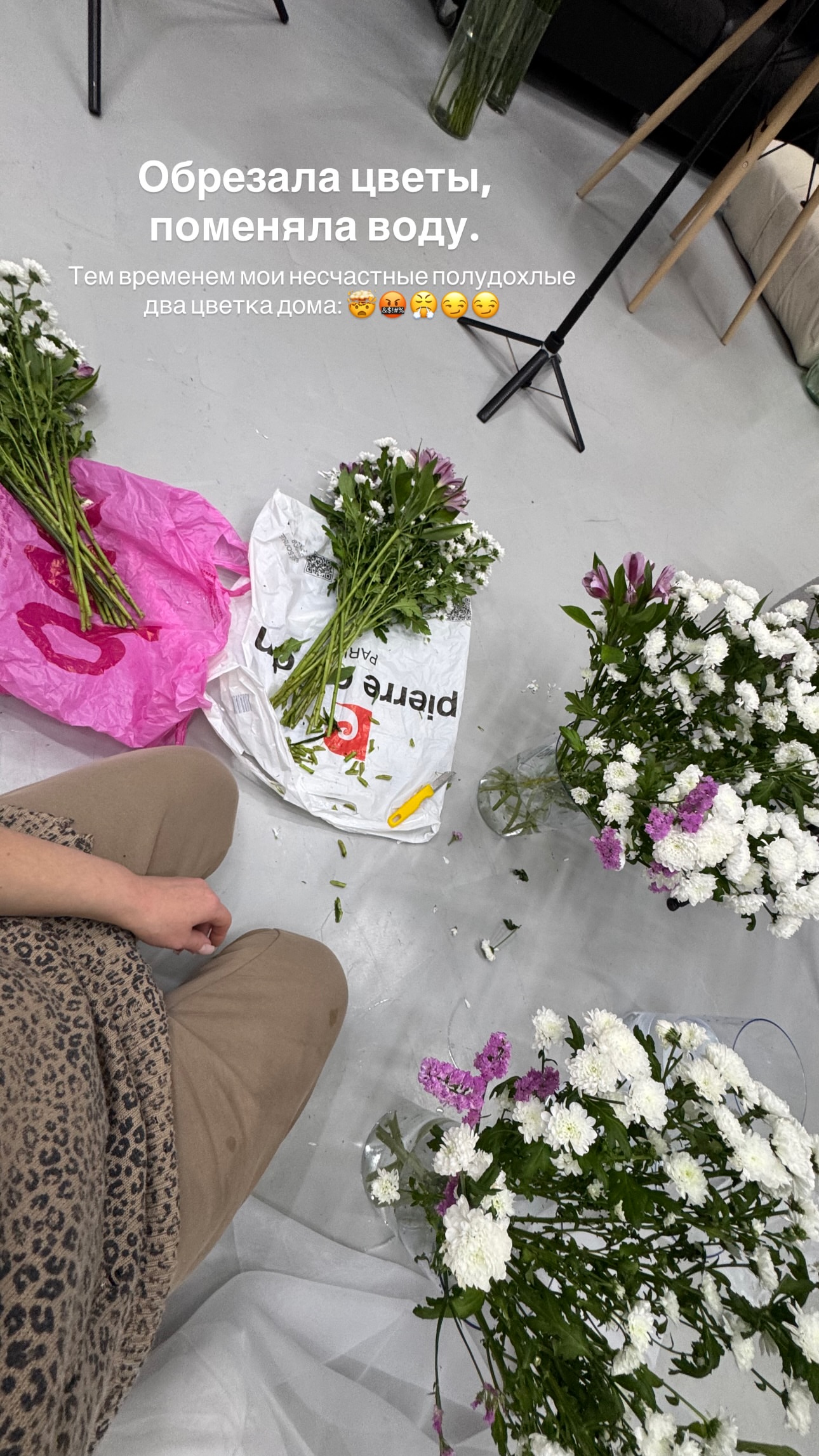 новая фото в сторис @daria_kars_photo 25.02.2026