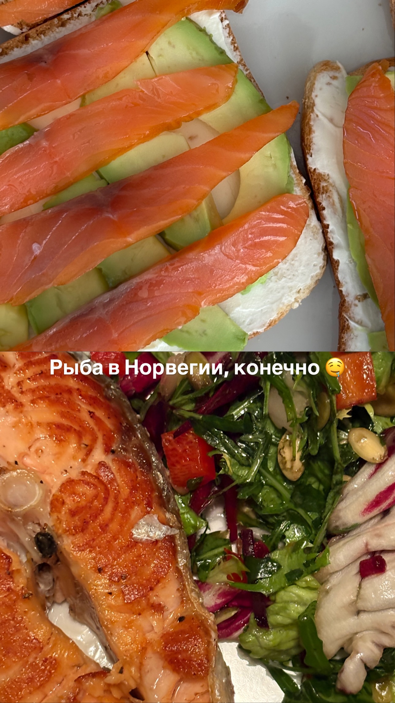 новая фото в сторис @lazycat.by 25.02.2026