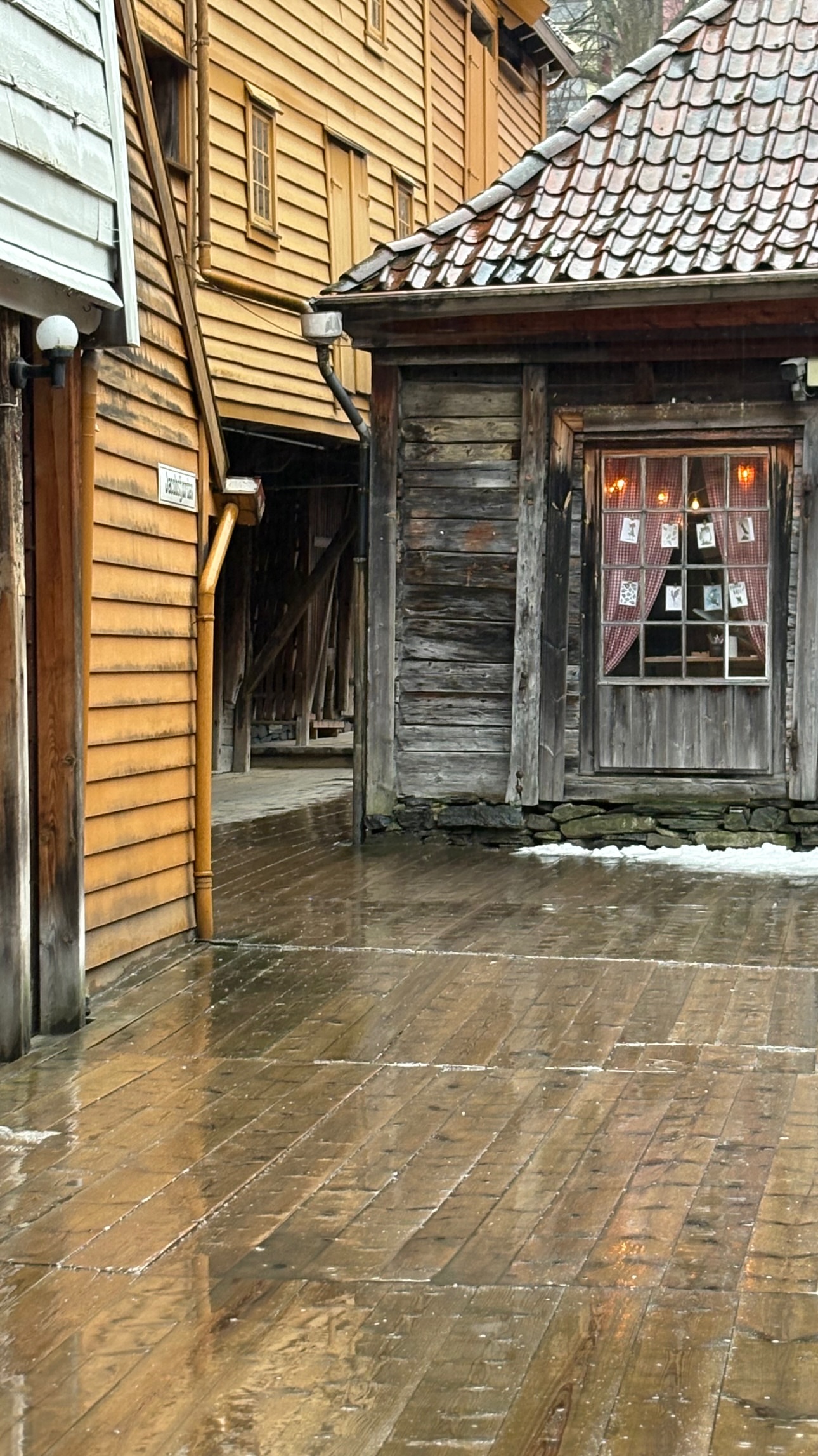 новая фото в сторис @lazycat.by 25.02.2026