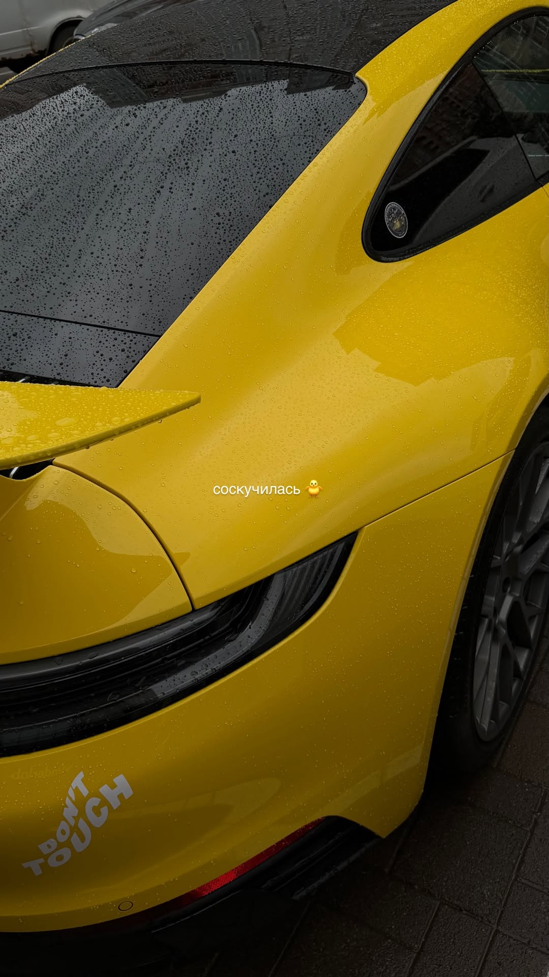 новая фото в сторис @vicmonaco 26.02.2026