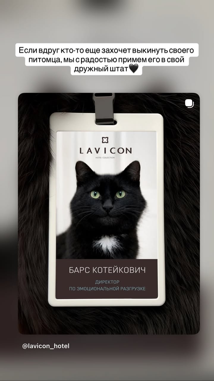 новая фото в сторис @marta_lukanina 26.02.2026