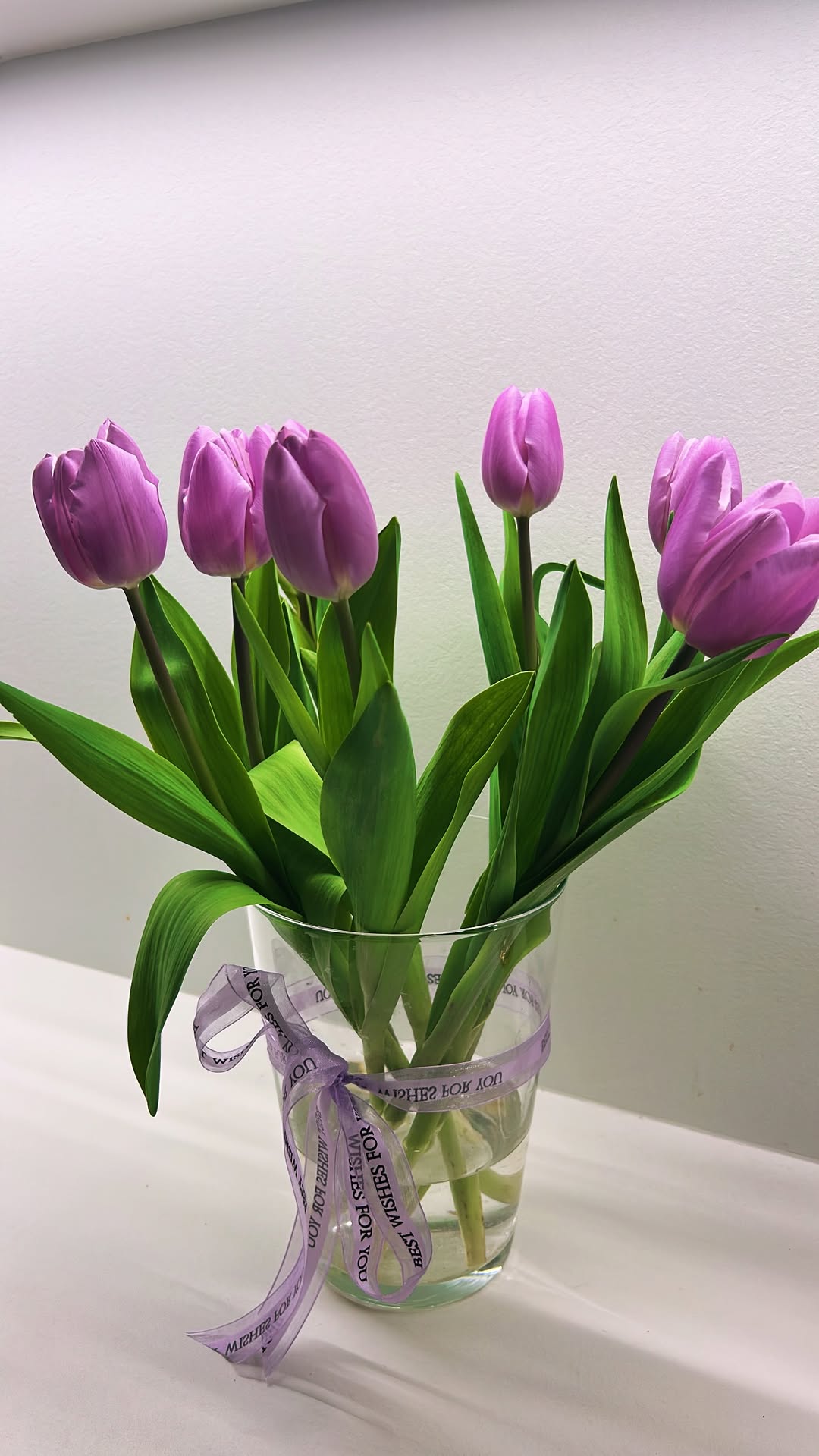 новая фото в сторис @poly_kostina_ 26.02.2026