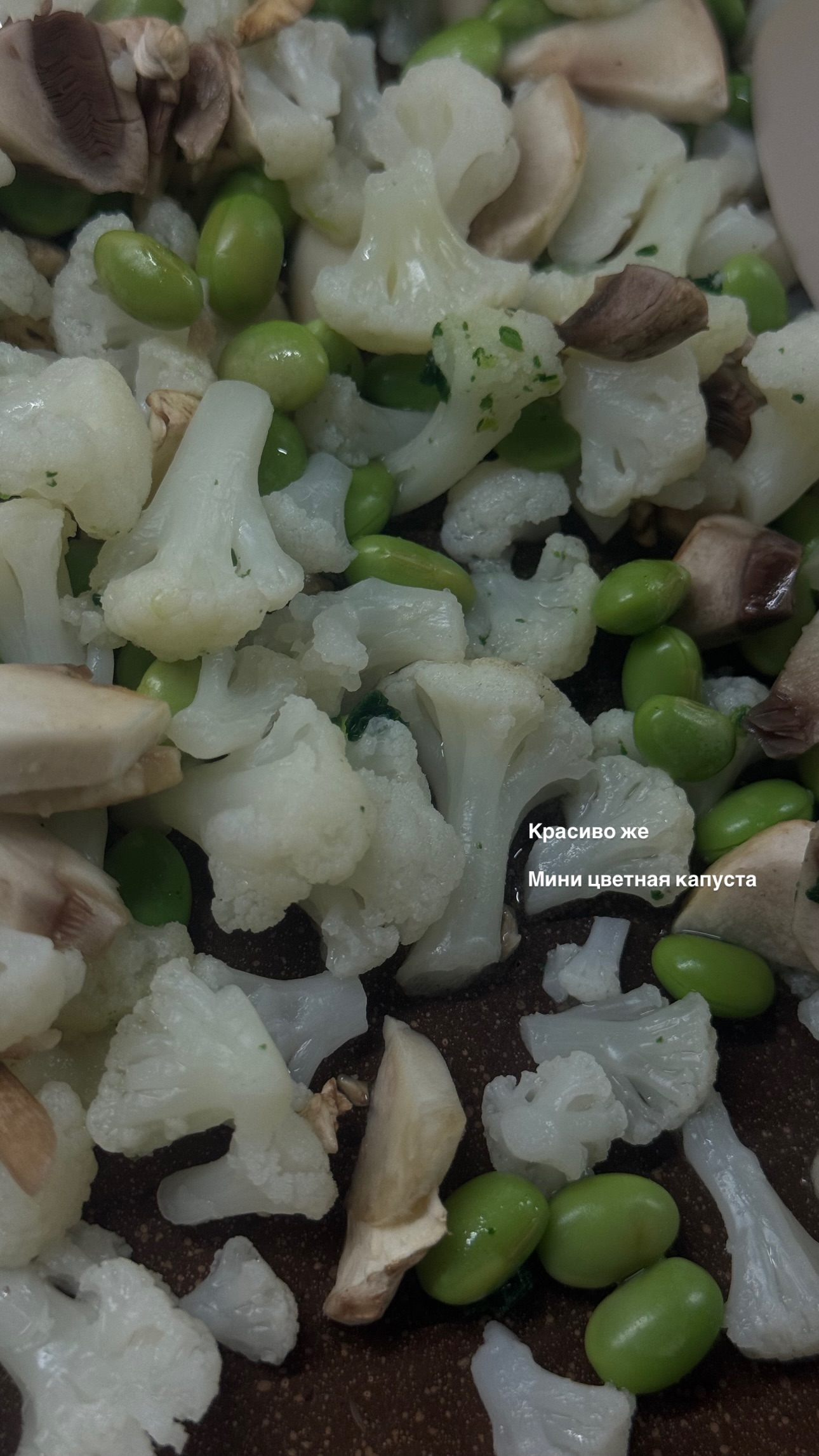 новая фото в сторис @radakaeva.fn 26.02.2026