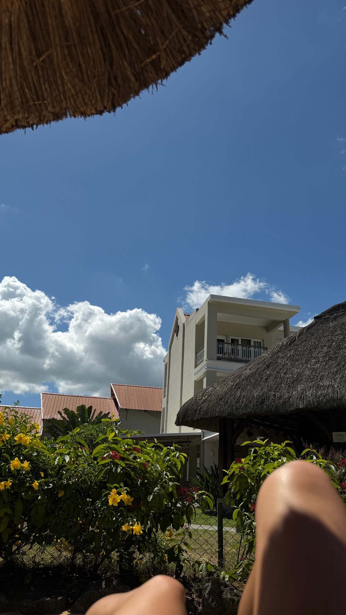 новая фото в сторис @stasyalyalya 26.02.2026