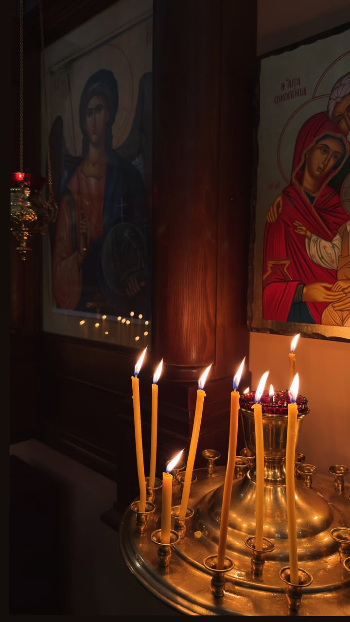 новая фото в сторис @corgi_yasha 27.02.2026