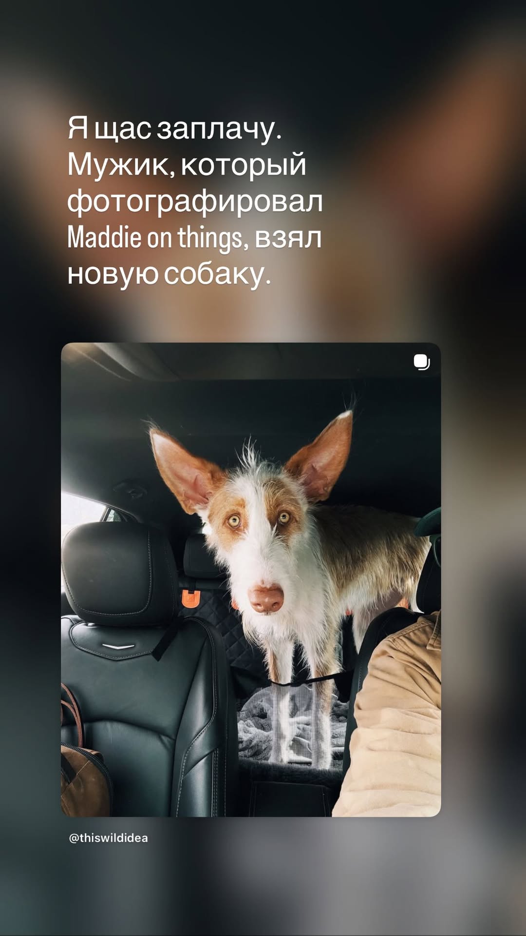 новая фото в сторис @neigraysognem 27.02.2026