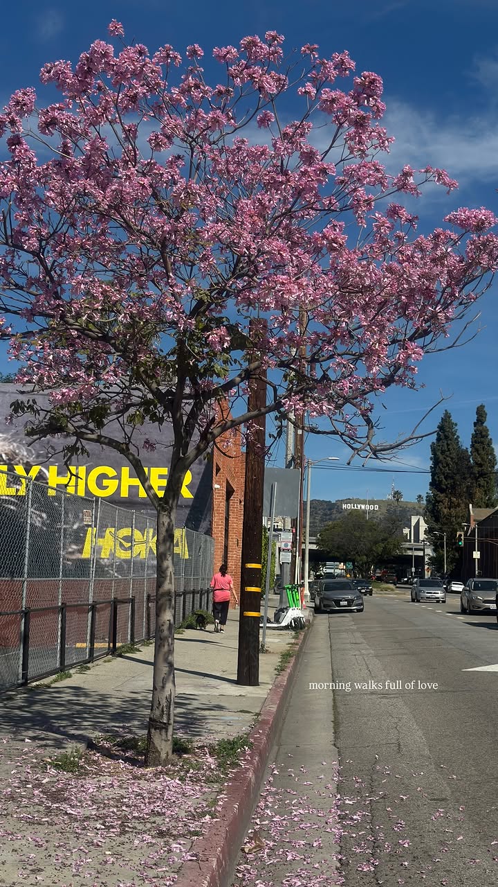 новая фото в сторис @yesimshay_ 28.02.2026