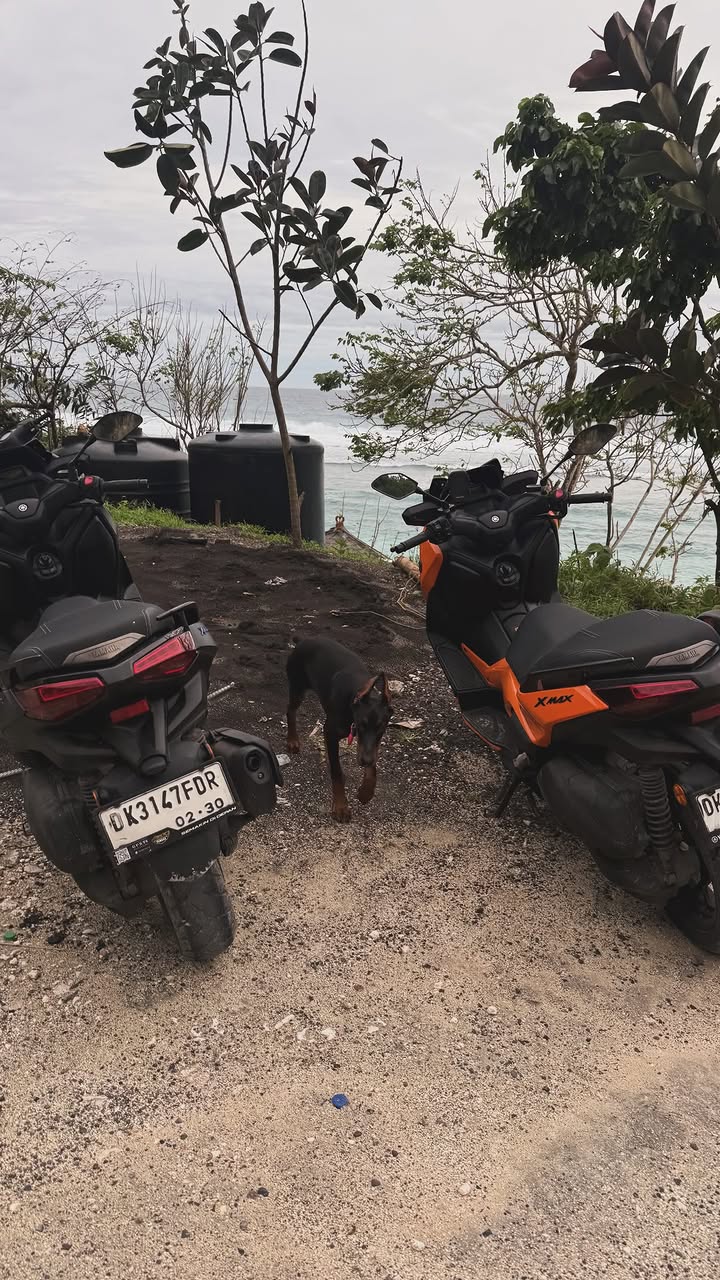 новая фото в сторис @liya.lily 28.02.2026