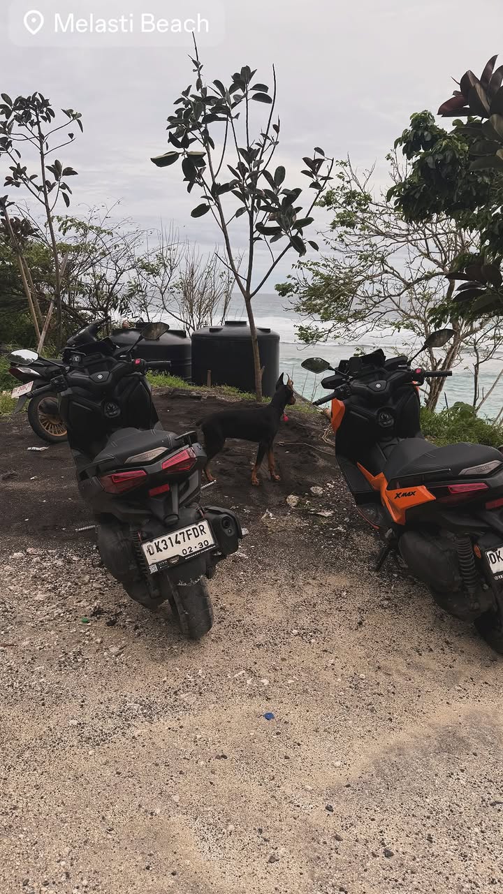 новая фото в сторис @liya.lily 28.02.2026