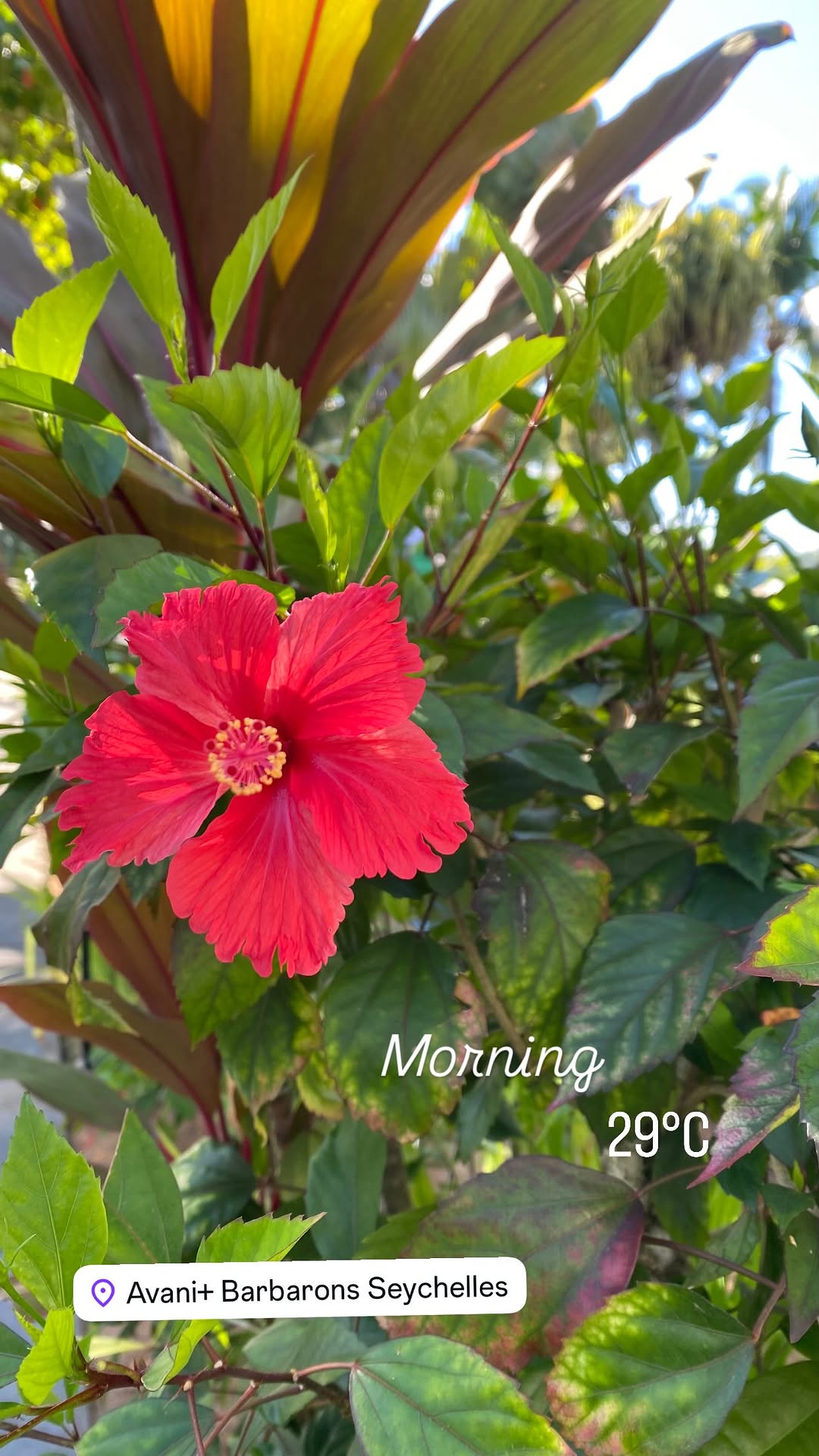 новая фото в сторис @subbotinadasha 28.02.2026